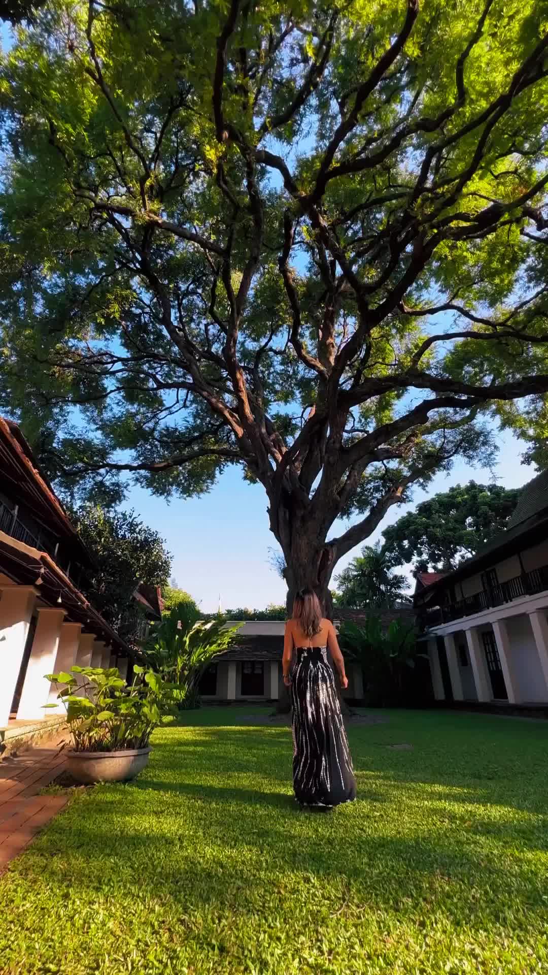 Charming Hotel in Chiang Mai's Old Town | Tamarind Village