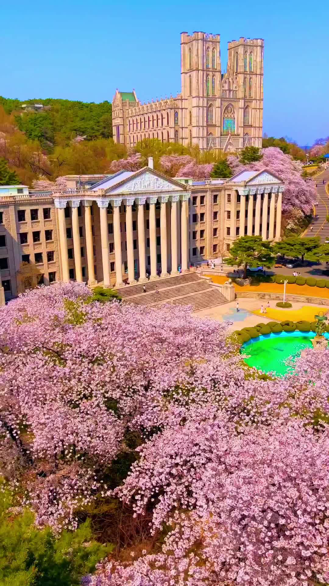 그리스 신화같은 경희대학교 벚꽃
Cherry blossoms at Kyung Hee University.

작년에 처음으로 제주를 벗어나서
육지 벚꽃을 담으러 다녔어요
지금은 이스탄불 출장중이지만
돌아가는 한국은 벚꽃이 만개했겠죠!

올해는 어떤 벚꽃 풍경을 만날 수 있을지
너무 기다려집니다!

위 영상은 2022년에 촬영되었습니다