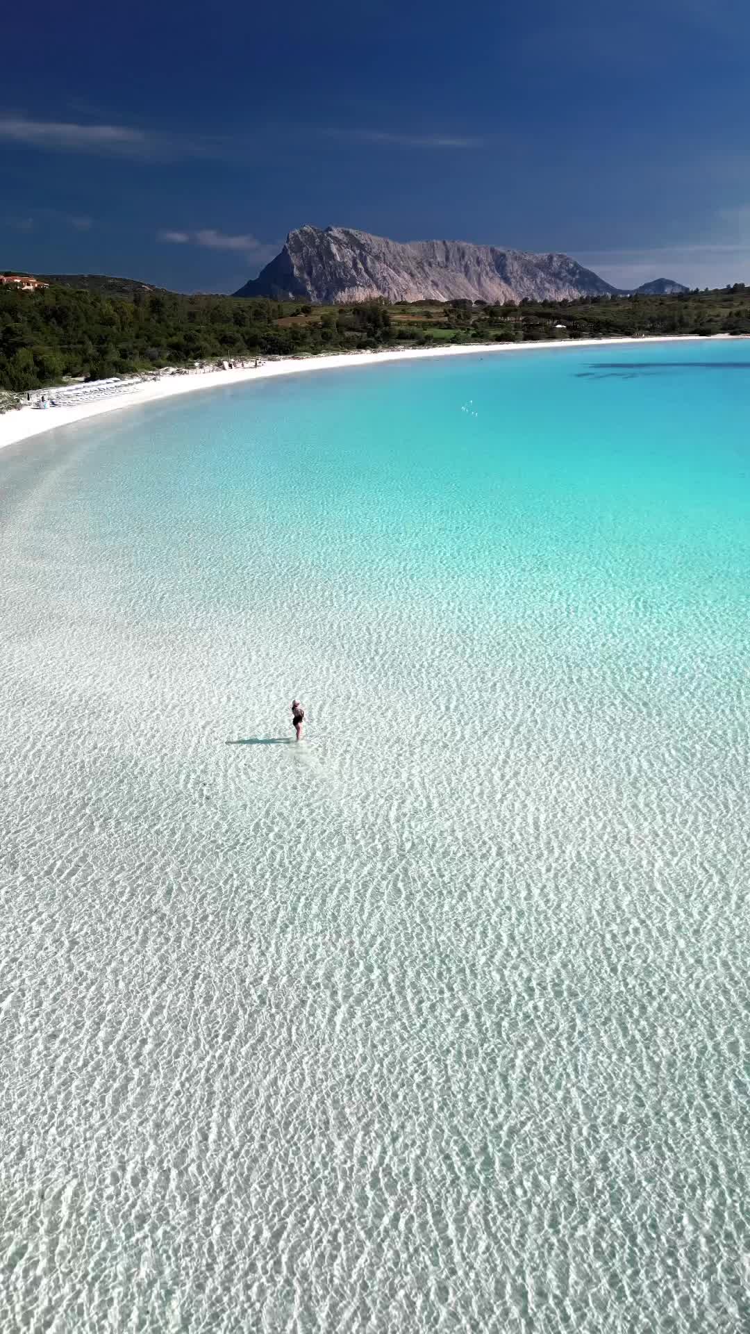 L’immensità di Cala Brandinchi! 💙
.
.
.
#sardinia #cerdeña #naturegeography #awesome_photographers #italiainunoscatto #lanuovasardegna #sardegnaofficial #focusardegna #volgosardegna #volgoitalia #sardegna_reporter #ig_italia #ig_skyline #destination_italy #beautifuldestinations #bestvacations #earthpix #wonderful_places #world_great #spiaggedasogno #ladolcevitaly #ig_vision #unionesarda #italy #italia #travel_drops #vivosardegna #travel #sardream