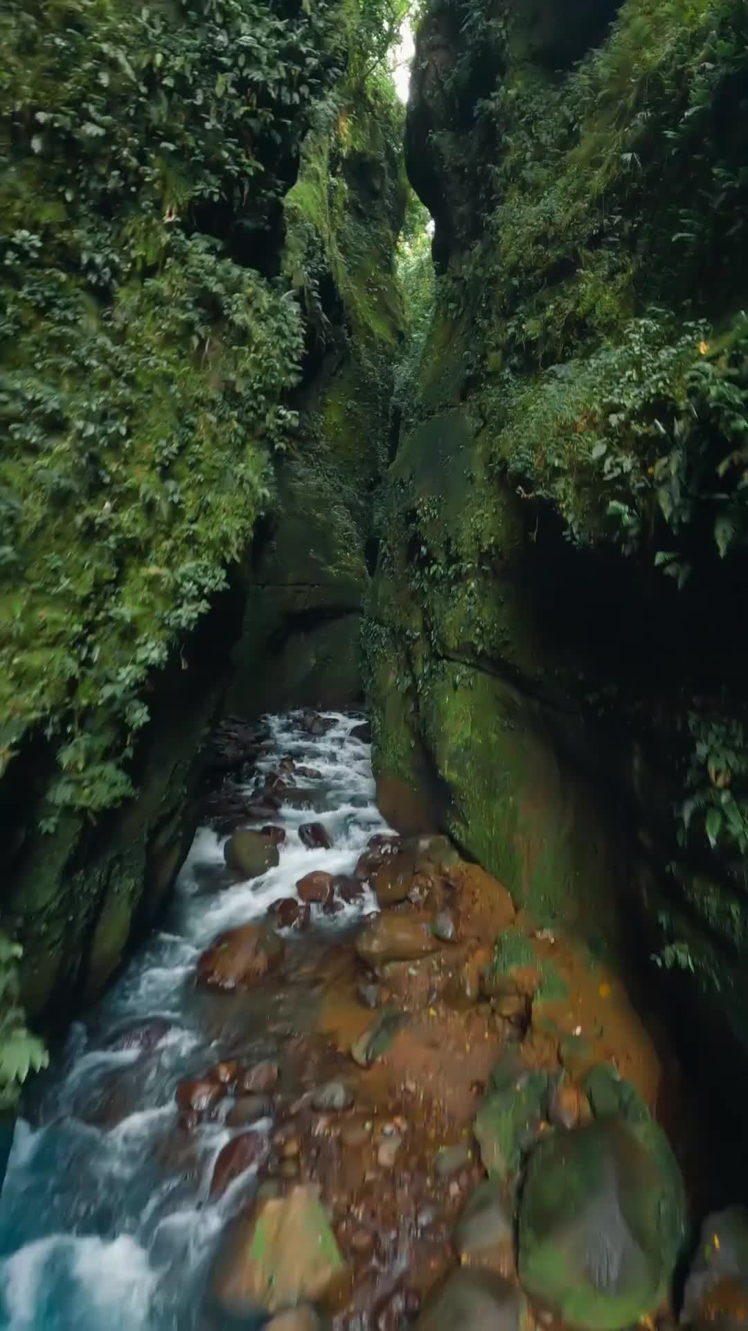 Discover Ciudad Esmeralda: Costa Rica's Hidden Gem