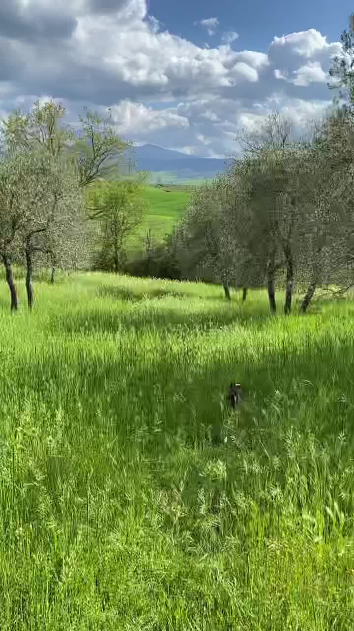 Tranquil Spring Walk in Pienza, Italy