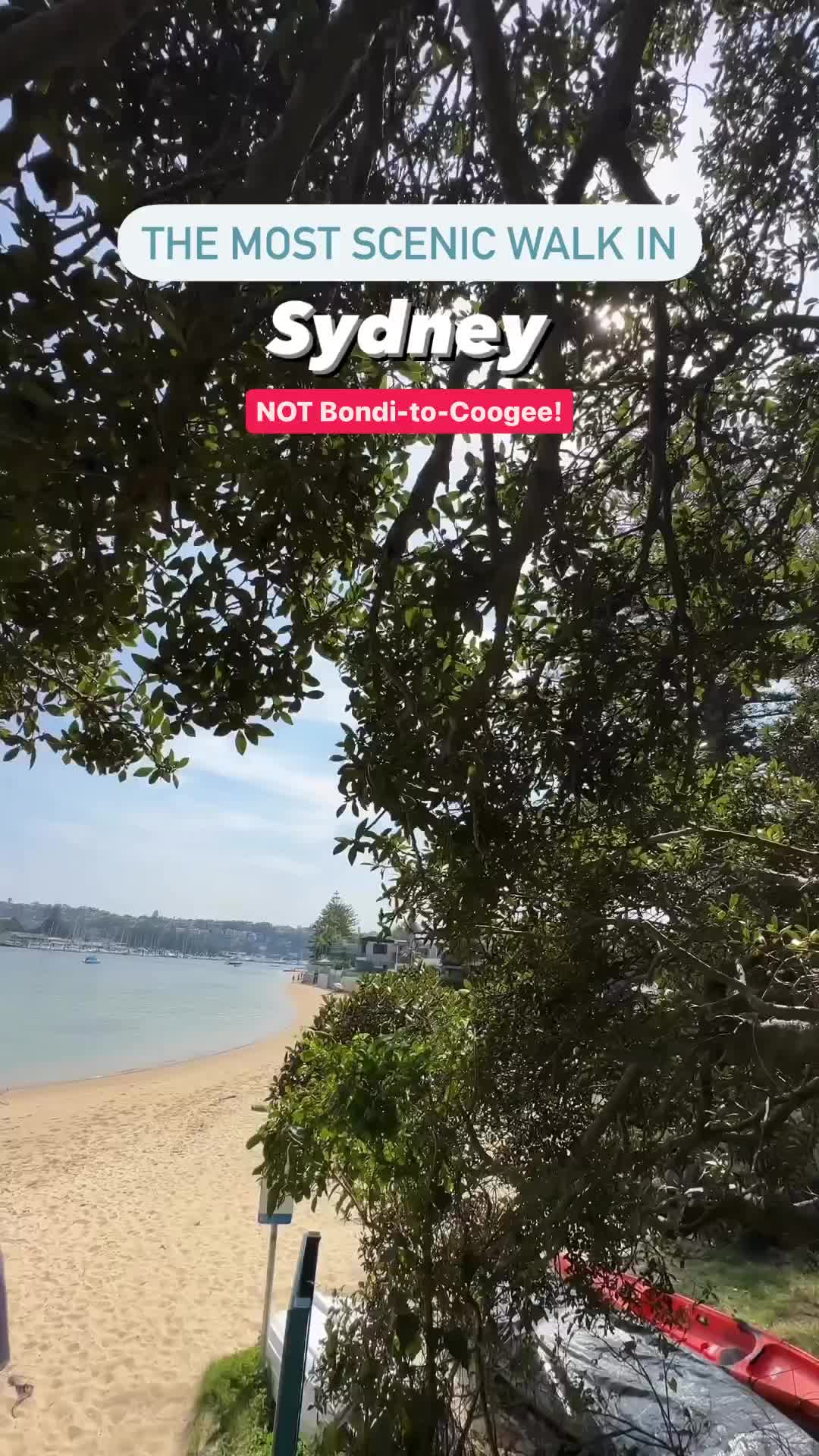 Scenic Manly to Spit Walk in Sydney: A Must-See Trail