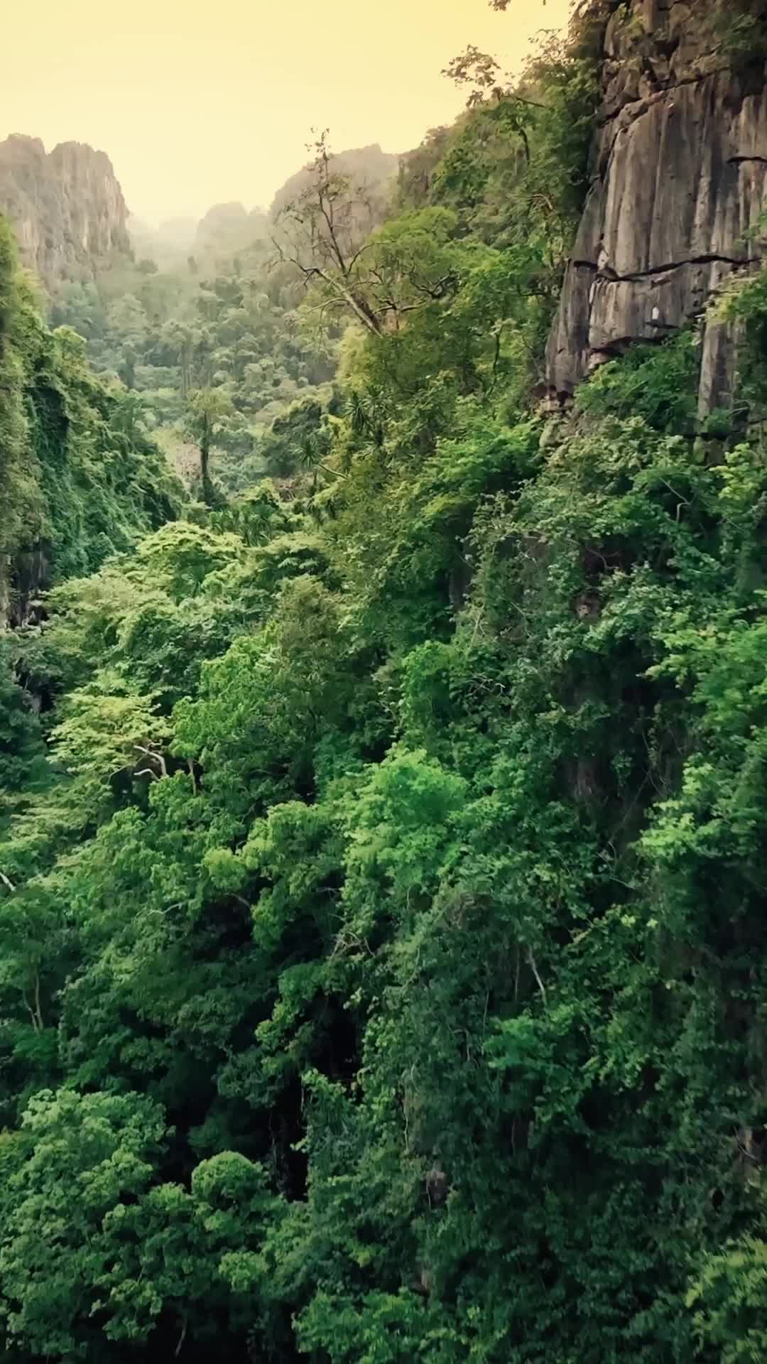 Jungle Vibes in Long Reua Tah Muen, Thailand