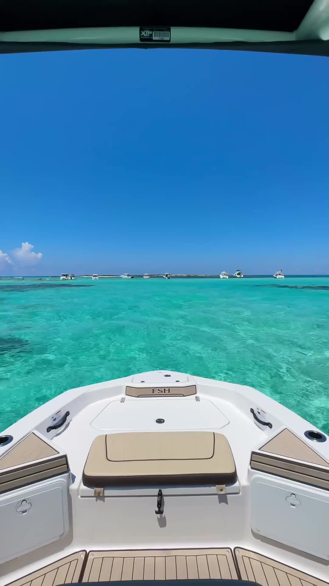 Always Say Yes to New Adventures in Bimini, Bahamas