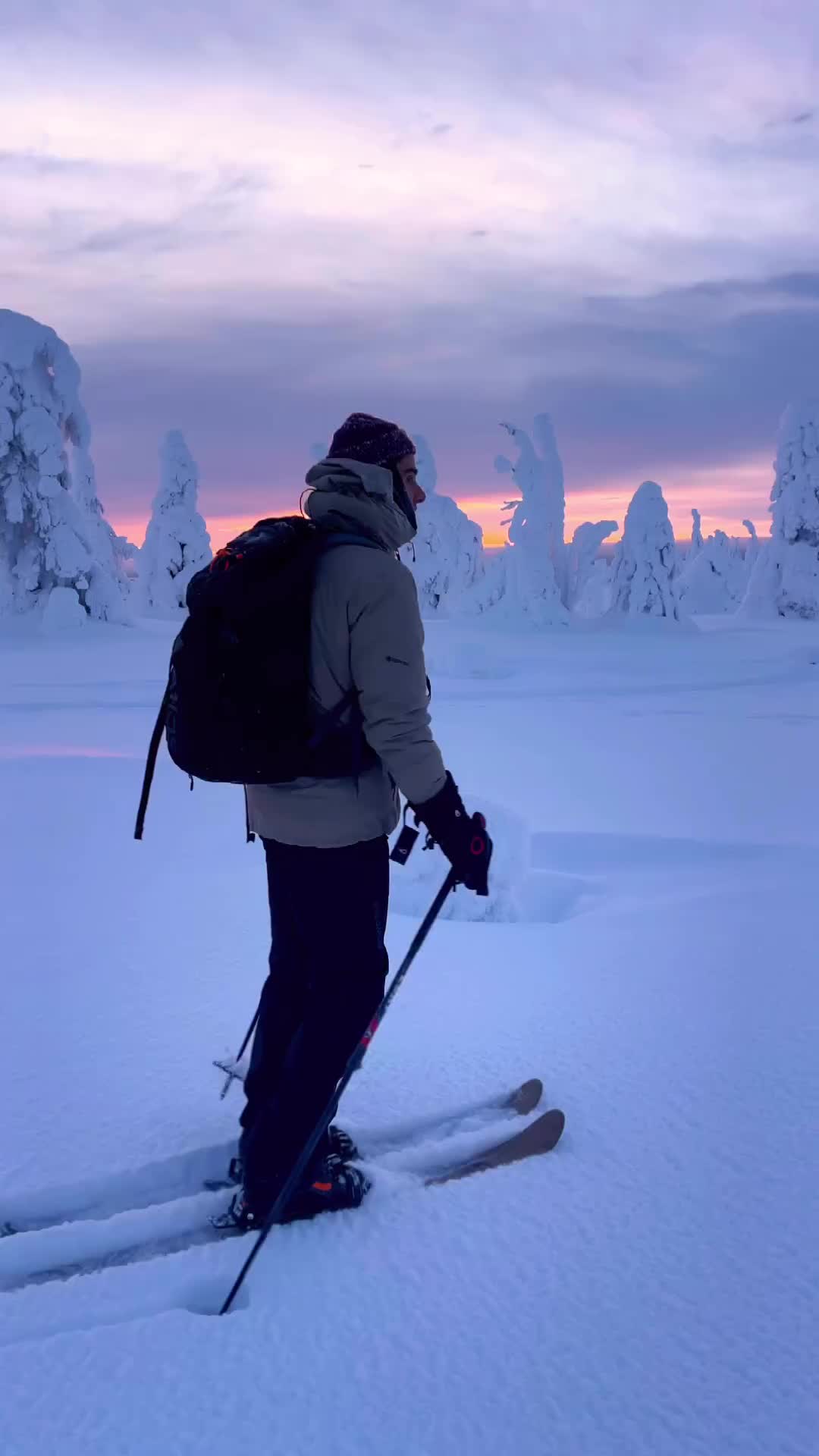 A Day in Lapland: Winter Wonderland Adventure