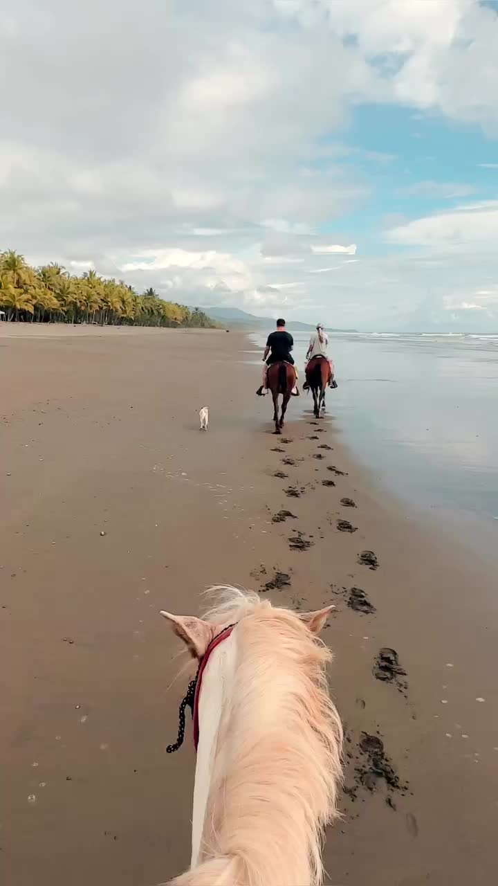 Horseback Riding on Playa Linda, Costa Rica