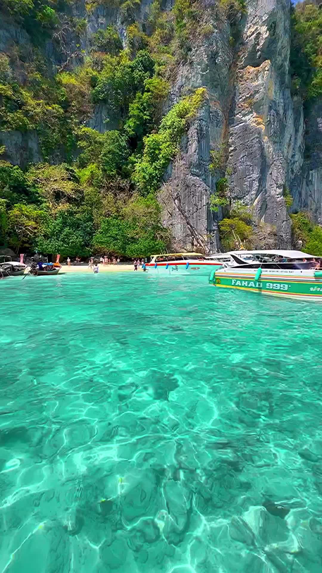 Discover the Emerald Beauty of Monkey Bay, Phi Phi Island