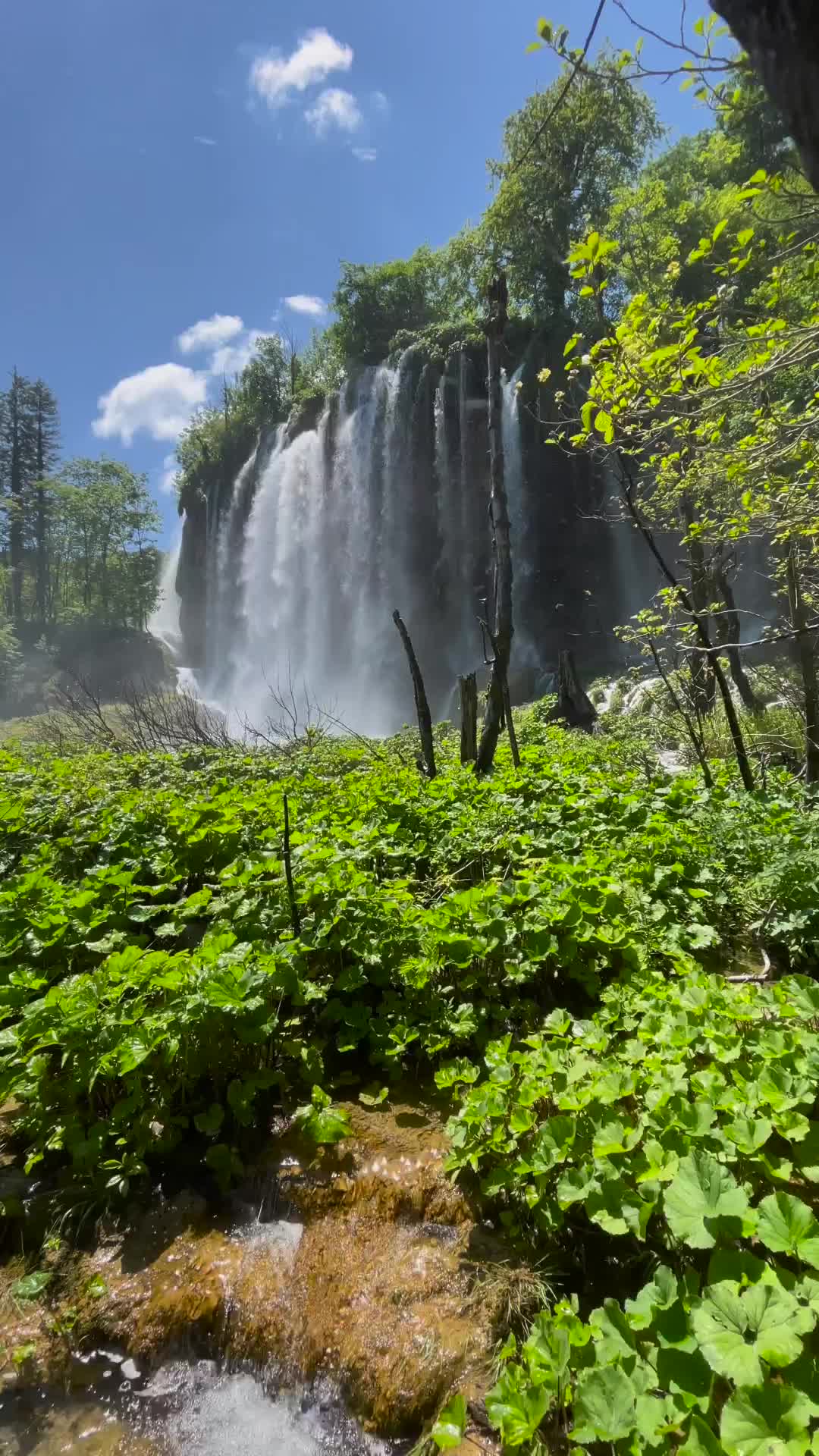 Explore Plitvice Lakes: Croatia's Natural Wonderland