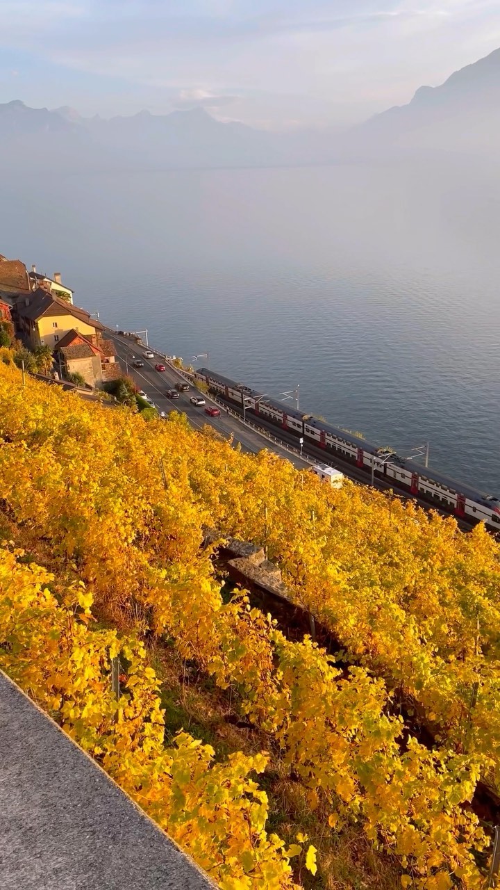 Scenic Splendor of Montreux and Vevey