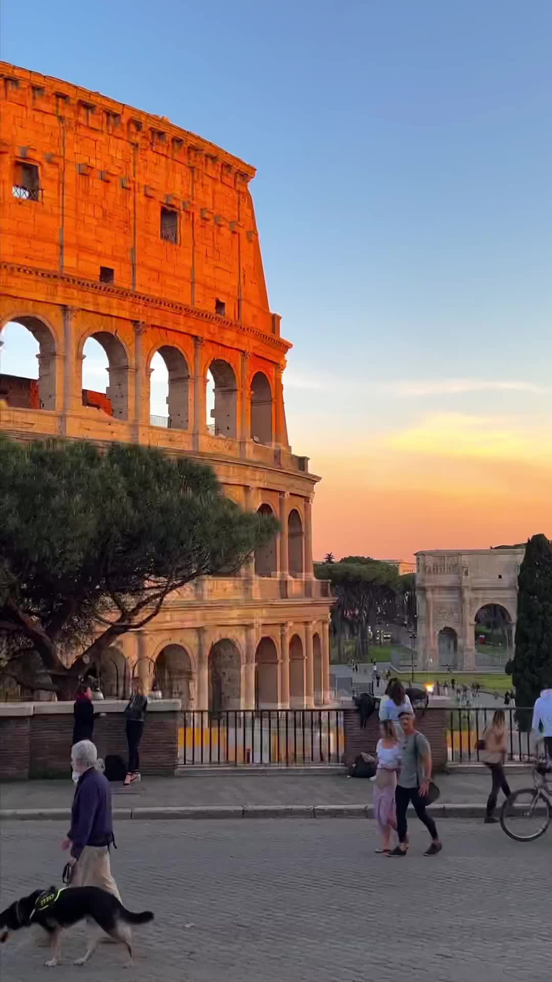 Discover Ancient Rome: A Tour of the Colosseum