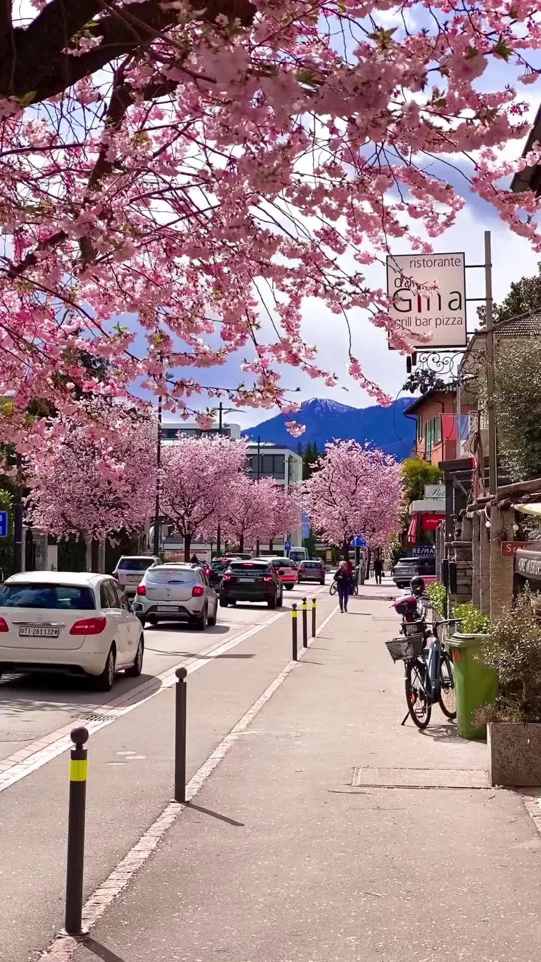 Springtime in Ascona, Switzerland – Embrace the Beauty