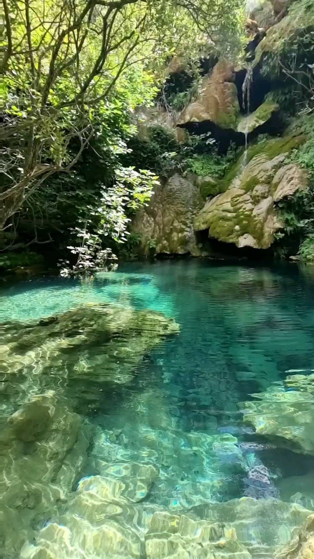 Piscina naturale S'Ogliu Ermanu. Ussassai. 

Oggetto di polemiche instagrammiane ad Agosto, queste splendide piscine naturali devono il loro fascino ai particolari giochi di luce dei raggi solari tra la fitta vegetazione che conferiscono all'acqua dei colori spettacolari. 

#sardegna
#sardinia
 #ig_italia_reels 
#igersitalia
#volgoitalia 
#italiapanorami 
#ig_fotografiaitalia 
#beautifuldestinations 
#wonderful_places 
#super_italy 
#destination_italy 
#bestplacestogo 
#tlpicks
#passionpassport
#travellingthroughtheworld
#naturelovers 
#discoverhearth 
#travelawesome 
#vacation 
#placestovisit 
#sailinglife 
#sardapp
#sardegna_cartoline_ 
#sardegna_reporter 
#vivosardegna 
#lanuovasardegna 
#focusardegna 
#sardiniaforyou