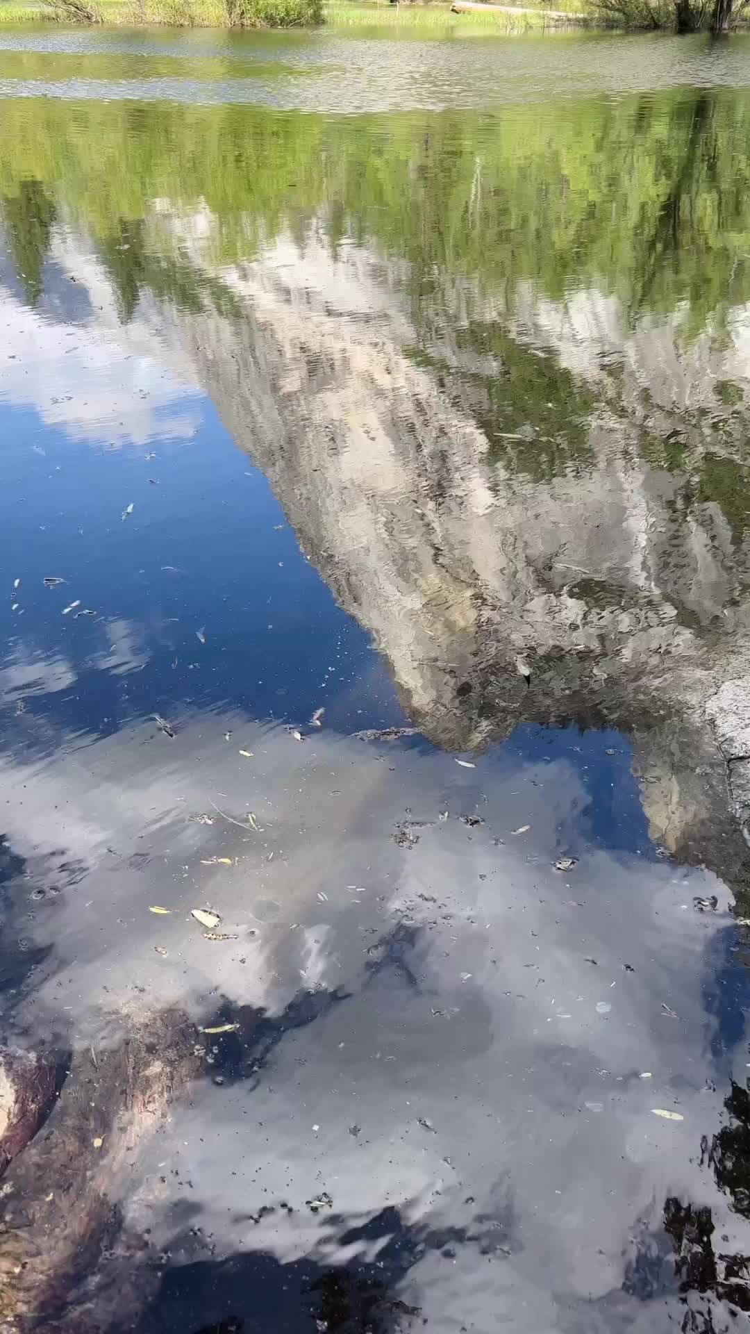 Discover Mirror Lake: Yosemite's Hidden Gem