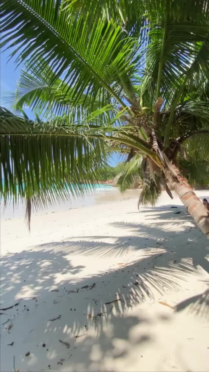 Paradise found: Anse Lazio, Praslin 📍
.
One of the most stunning beaches on Praslin, a must see when you’re there! 🥰
.
.
.
#praslin #praslinisland #anselazio #anselaziobeachpraslin #seychelles #seychellesislands #travelreels #beach #sea