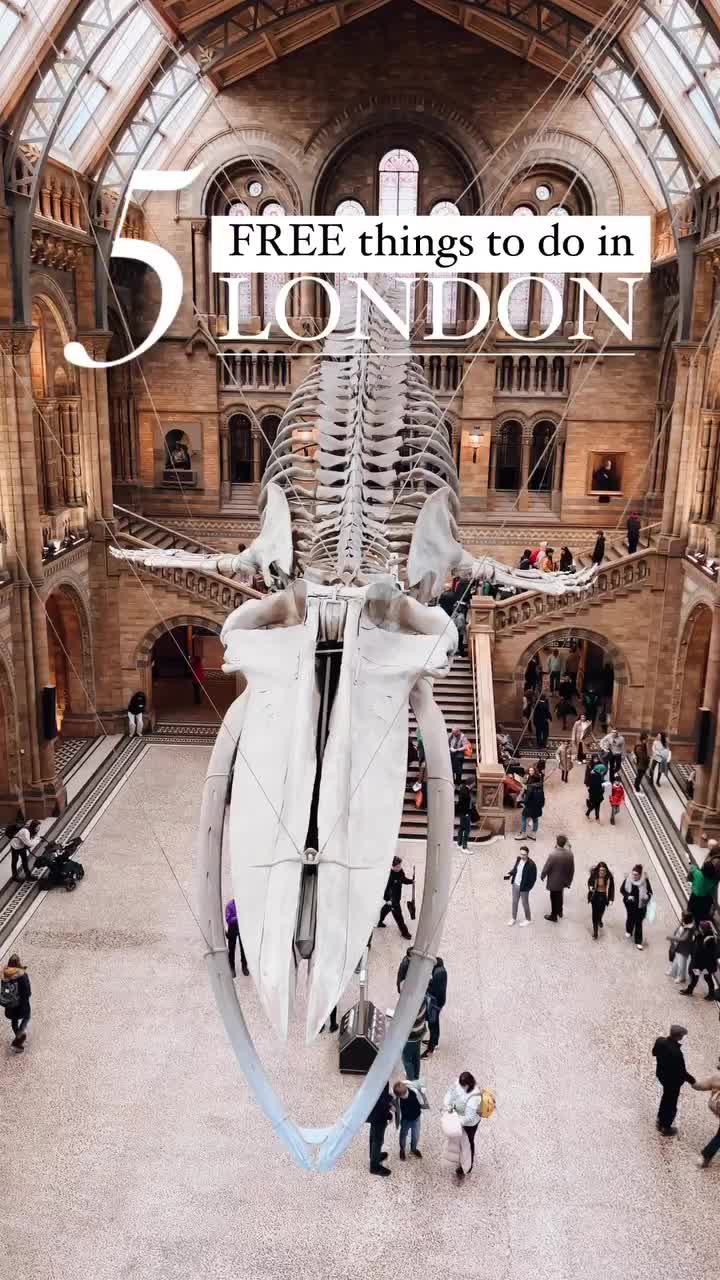 5 darmowych atrakcji w Londynie: 

* Muzeum Historii Naturalnej mieści się w dzielnicy South Kensington. Wstęp jest bezpłatny, ale nastawcie się na kolejki do wejścia, szczególnie w sezonie letnim! Muzeum ma w swojej kolekcji ok 80 milionów eksponatów z różnych zakątków świata. Największą atrakcją są modele dinozaurów, w tym największy na świecie kompletny szkielet dinozaura - diplodoka. 

* Muzeum Nauki też znajduje się w dzielnicy South Kensington, zaraz obok Muzeum Historii Naturalnej. Podobnie jak w przypadku Muzeum Historii Naturalnej, wstęp jest bezpłatny. Muzeum ma wiele interaktywnych wystaw, które zachęcają do eksperymentowania

* Sky Garden to ogród znajdujący się na szczycie wieżowca w kształcie trapezu, znanego również jako „Walkie-Talkie”. Wstęp do Sky Garden jest oczywiście bezpłatny, ale konieczna jest rezerwacja online. Sky Garden oferuje wspaniałe widoki na miasto, w tym na Tamizę i Tower Bridge.

* Tate Modern to galeria sztuki współczesnej, która mieści się w banku z końca XIX wieku. Wstęp do większości wystaw jest bezpłatny, ale niektóre specjalne wystawy mogą wymagać płatnego biletu. W galerii znajdują się zarówno stałe ekspozycje, jak i zmienne wystawy czasowe, m.in. dzieła Picassa, Warhola. 

* Konserwatorium w Barbican to ogromny ogrodowy labirynt. Konserwatorium jest otwarte w określone godziny, wstęp jest bezpłatny, ale trzeba zwrócić uwagę na daty otwarcia i zarezerwować bilet online. Konserwatorium mieści ponad 2000 gatunków roślin! 

#freeactivities#london#londonwithkids#londonactivities#skygarden#naturalhistorymuseum#sciencemuseum#tatemodern#barbicanconservatory#familytravel#kidstravel