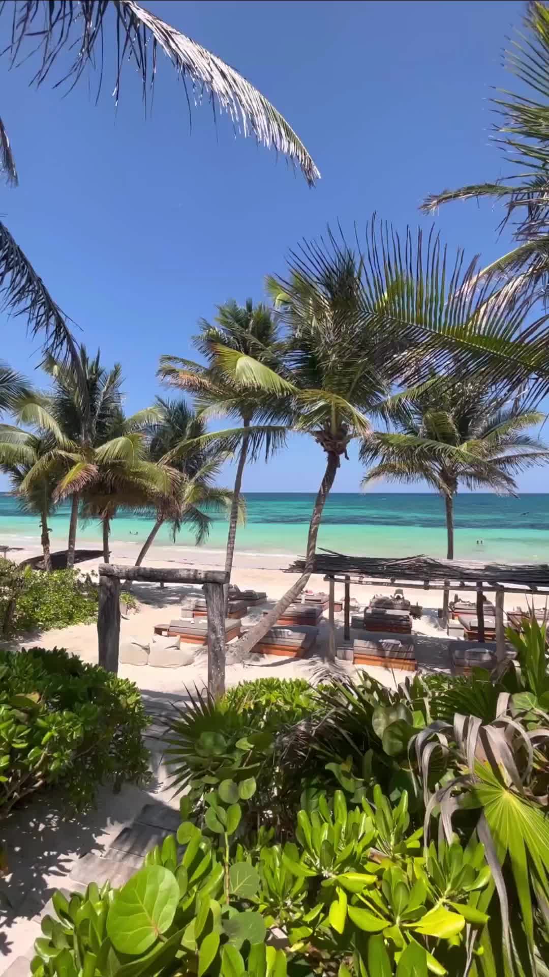 Perfect Hammock in the Mexican Caribbean Breeze