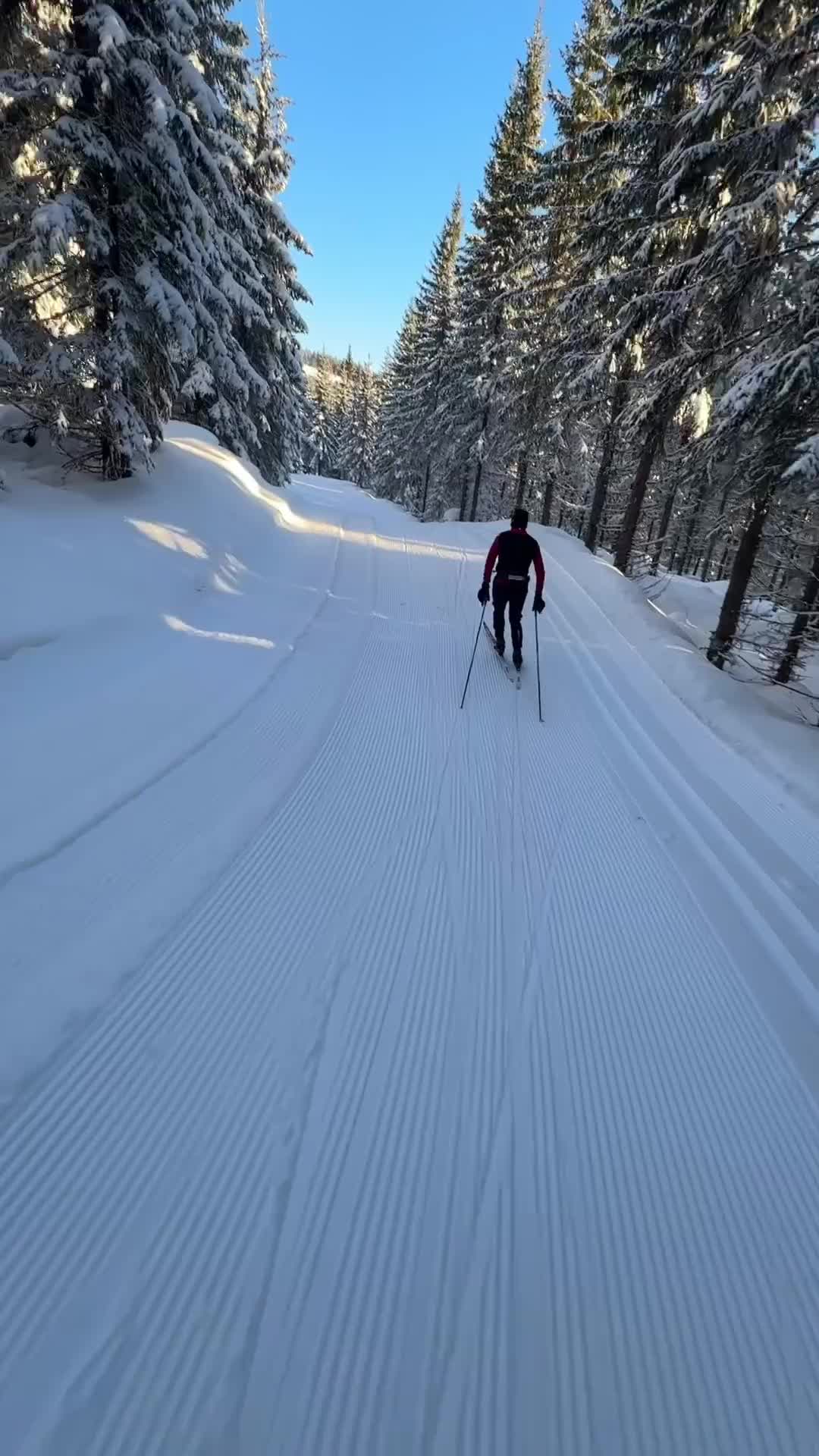 Ski Every Day: Embrace Winter at Birkebeineren Stadium