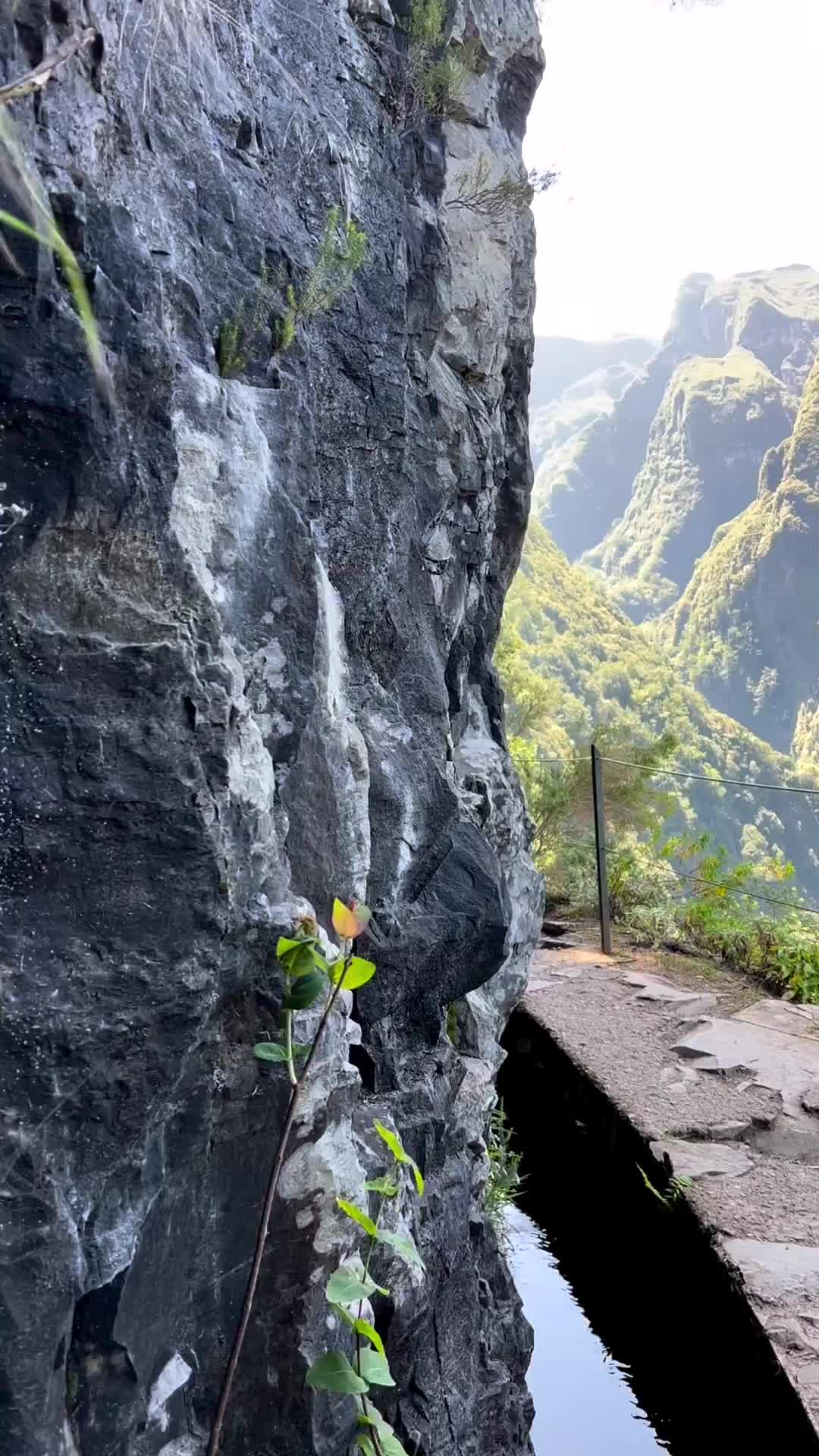 Walking along the Levadas in Madeira…

Stepping along these ancient paths, I found solace in the rhythm of nature, washing away worries with the soothing sound of flowing water. It’s a reminder to stay grounded, connected to the wisdom of the natural world.

#LevadaJourney #LifeReflections #EmbraceTheJourney #NatureConnection #Resilience #FindYourBalance #SeekBeauty #MadeiraExploration #LifeLessons #FlowWithLife