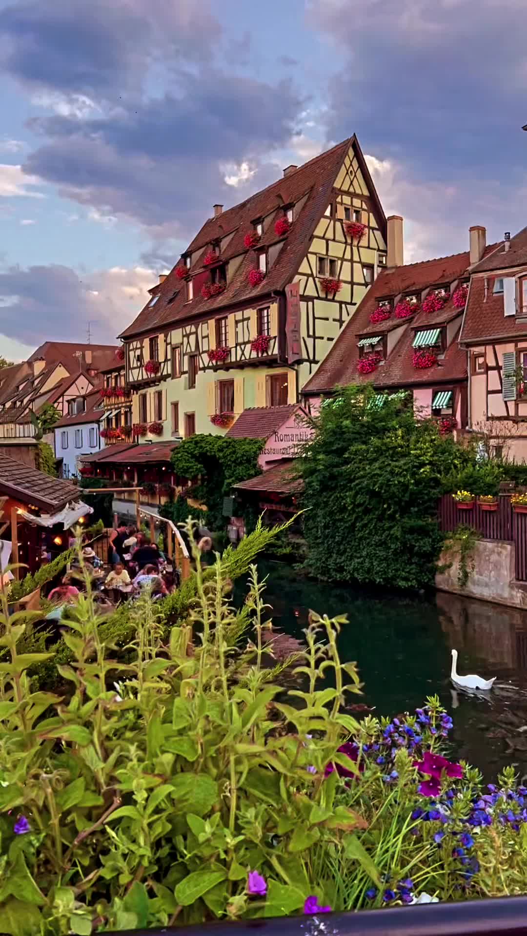 Discover the Fairytale Village of Colmar, France