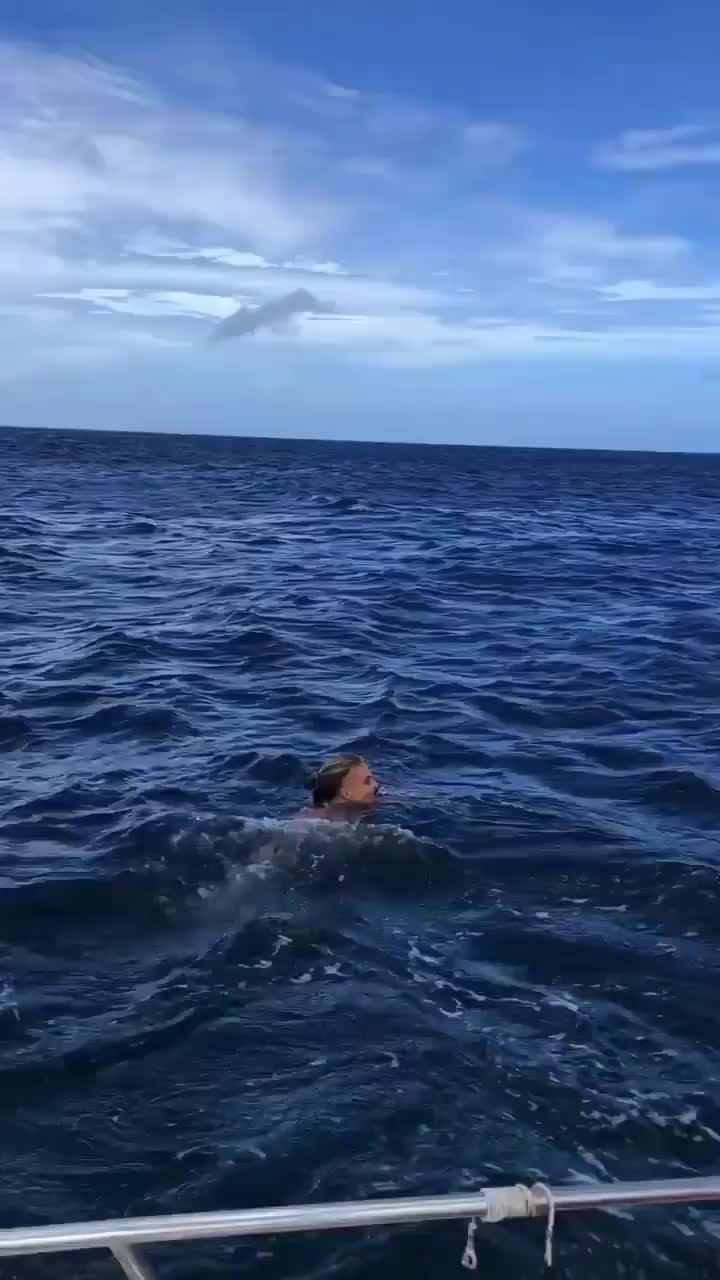 Daily Ocean Life Reels - Dolphins Jumping!