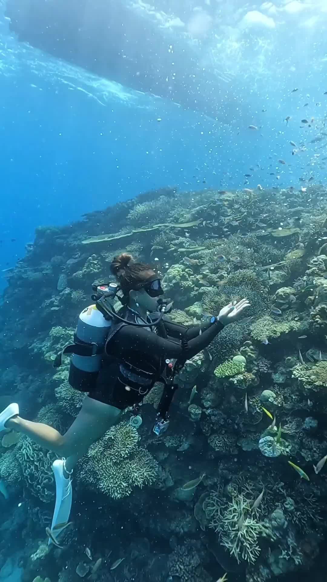 Underwater Adventure in Okinawa: School of Fish Frenzy