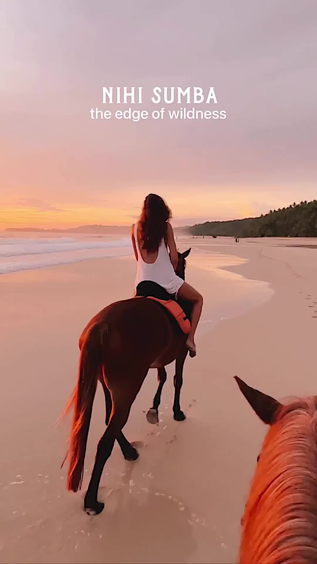 Where wild horses roam free ✨

Have you ever been to Sumba?

I didn’t know what exactly to expect before coming there but since the moment we arrived, I fell in love 
Where wild nature brings you a sense of peace and freedom 🫶🏽

🎥 @conormccann

#nihi #edgeofwildness #nihisumba #sumba #indonesia #vacations #voyaged #earthpix #sunset #horseriding #travel #earth #travelandleisure #earthfocus #puravida #exploretocreate #stayandwander #travelawesome #beautifuldestinations