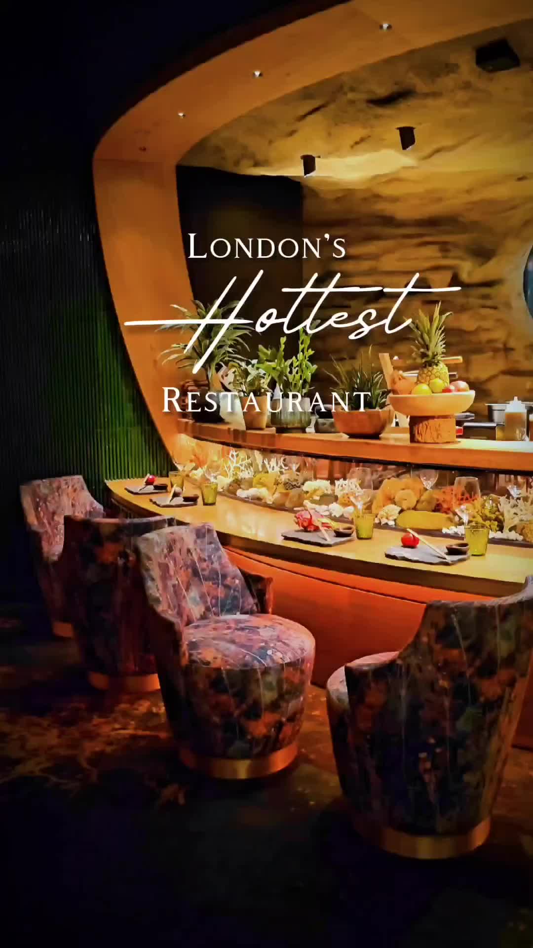 Discover Amazonico London: Hotspot for Business Lunches