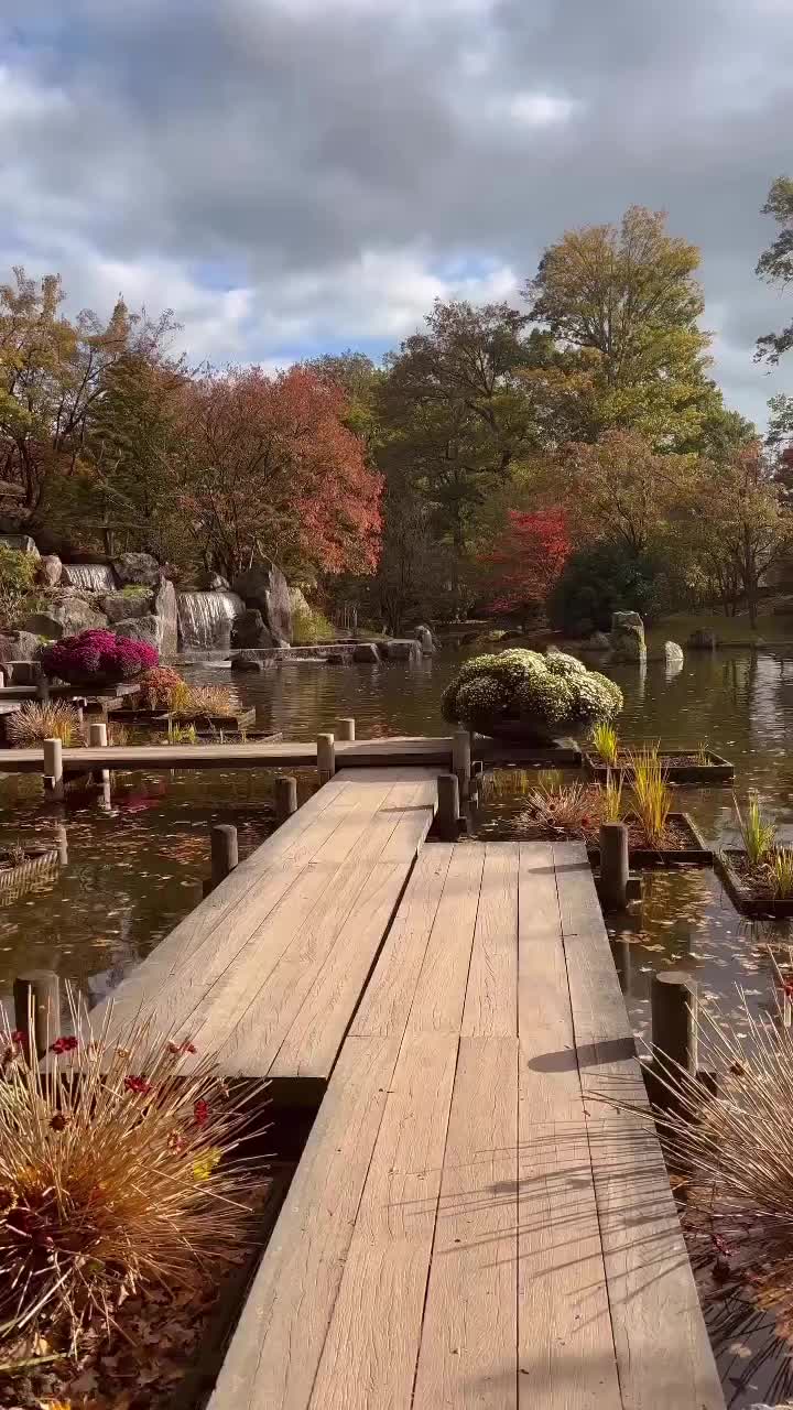 Autumn Colors at Japanse Tuin, Hasselt, Belgium