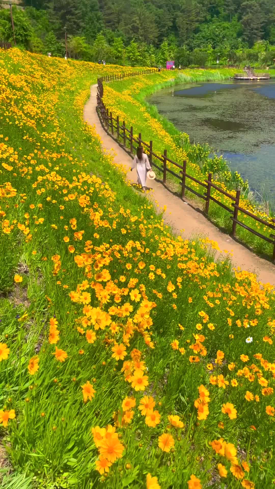 Must-Visit in May: Agyang Ecological Park 🌼