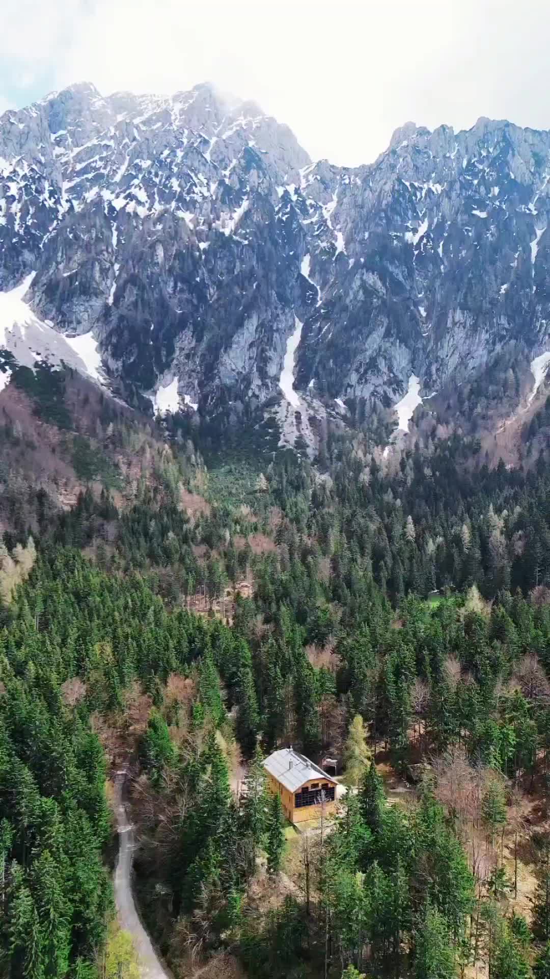 📍Dom pod Storžičem 1123m,  Slovenija 🇸🇮
🌍🌲🏞🌞
#storzic #sloveniatravel #photooftheday #igslovenia #adventure #feelslovenia #hikingtrail #alps #kamniskosavinjskealpe #mountains #travelphotography  #travel #photography #europetravel #hikingadventures  #loveslovenia  #picoftheday #snow #travel  #dronephotography #hiking #nature #djimini3pro 
 #hikingculture  #europe #slovenija #winter #travelphotography