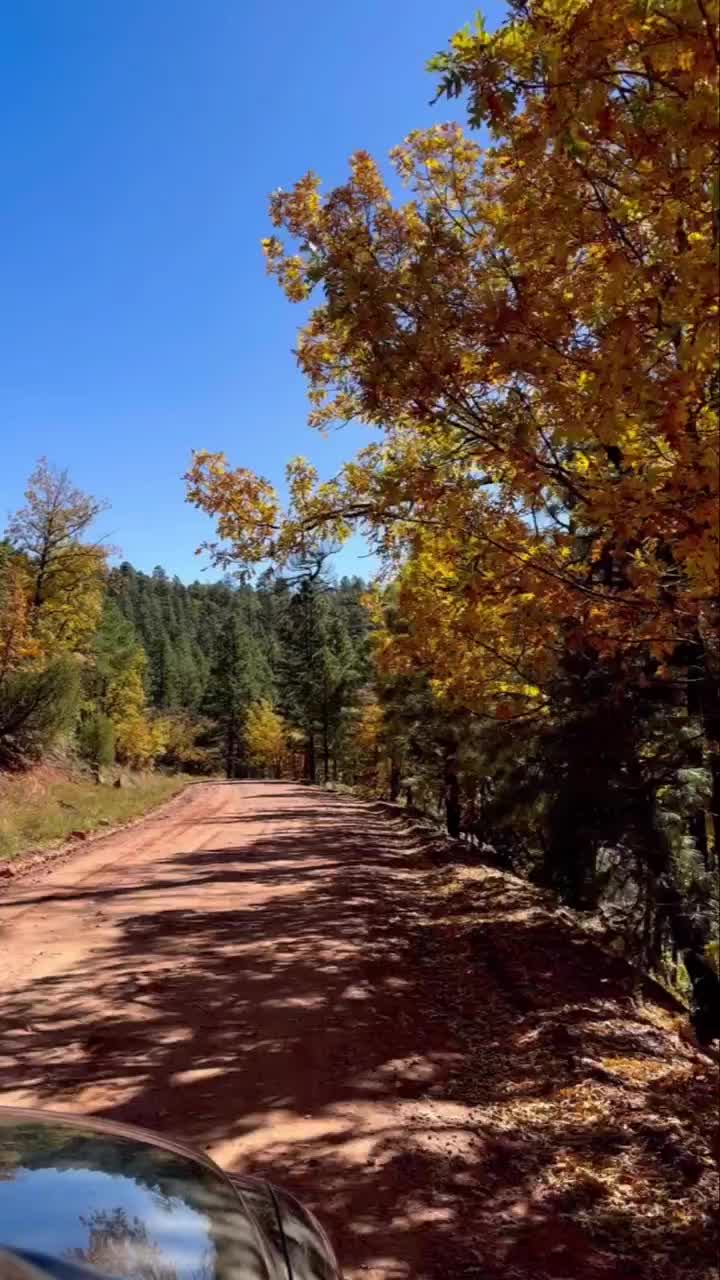 Arizona hidden gem alert!

Blue Ridge Reservoir, also known as CC Cragin, is an 8 mile river that winds through steep cliffs covered in pines. It looks like someplace you would find in Oregon, not in Arizona!

The reservoir is hidden down a 6-mile dirt road in Arizona’s Rim Country. 

Large motorized boats are not allowed on the water, making it the perfect place for paddle boarding or kayaking.

We tried out the @goosehillsup inflatable paddle board. It performed great and we loved how easy it was to transport and inflate!

#blueridgereservoir #blueridgereservoirarizona #cccraginreservoir #azhiddengems #arizonahiddengems #visitarizona #goosehillsup #ad