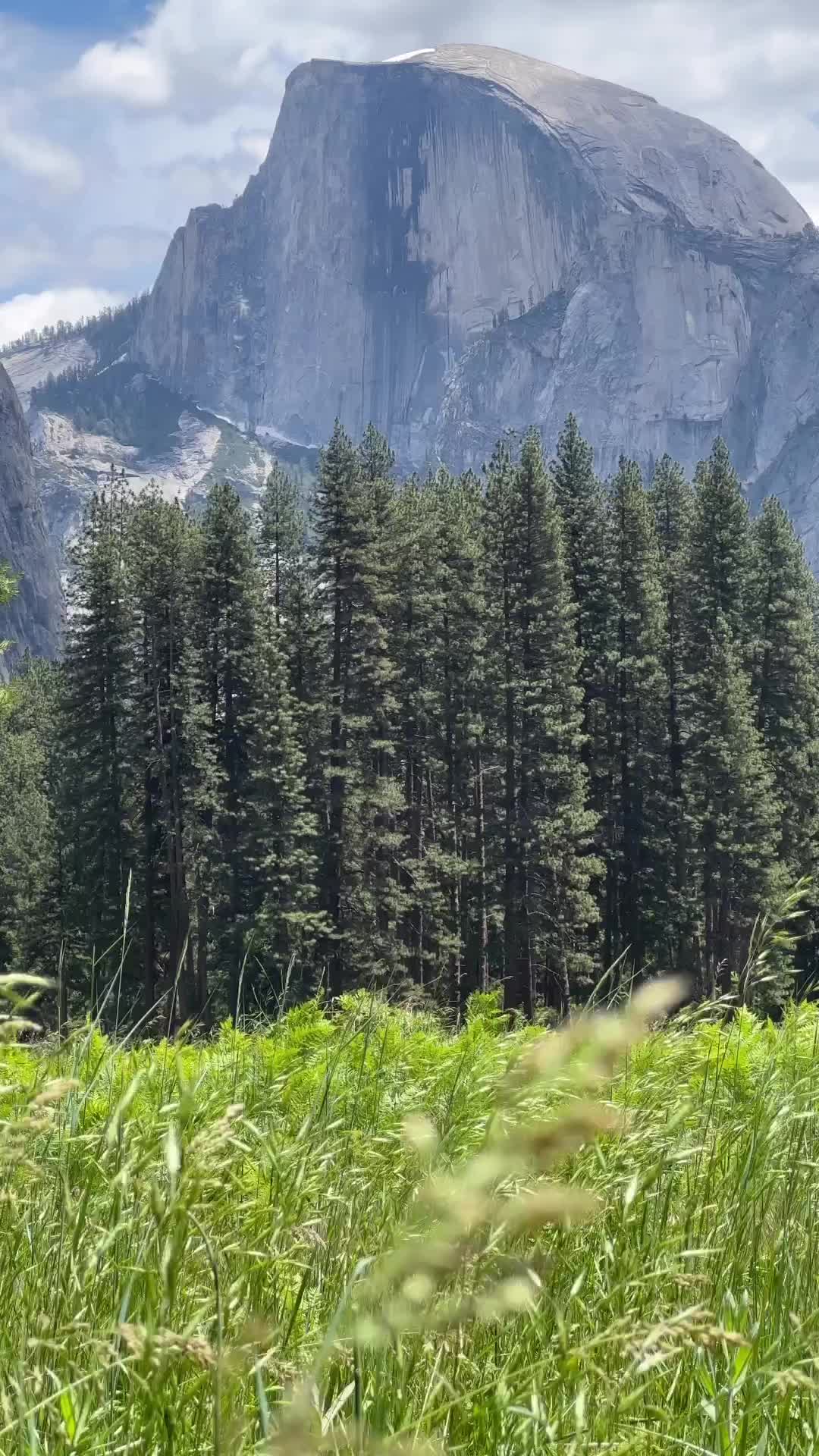 Cooks meadow 🌾
.
.
.
#yosemite #yosemitenationalpark #cooksmeadow #cooksmeadowyosemite #halfdome #california #californiaadventure #meadow #🌾