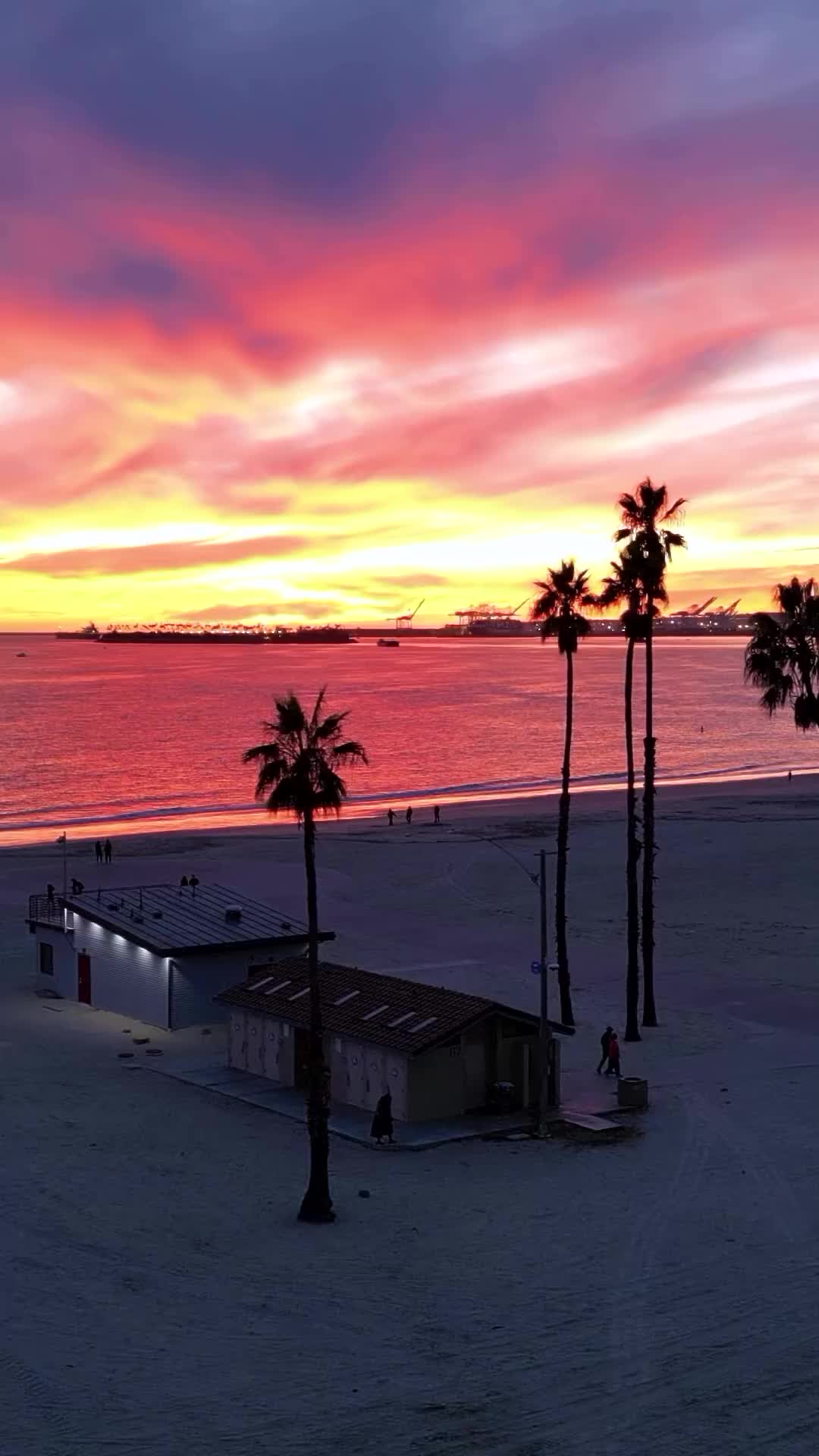 Stunning Sunset Session at Long Beach, California 🌴