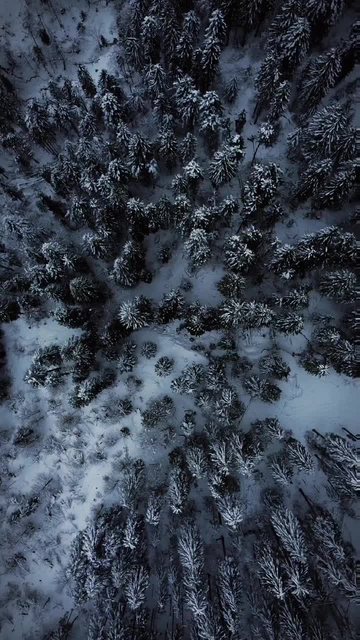 Raise your hand if you're obsessed with drone videos as we are🙋🏻‍♀️

Ultimi frammenti d'inverno
.
#igersfvg #lonelyplanet #rsa_outdoors #voyaged #raw_community #hellofrom #dolomites #roamtheplanet #wildnessculture #visualscollective #outdoortones #travelphotography #traveleurope #passionpassport #agameoftones #dolomiti #dji #discoverearth #folkgood #travelgram #yallersfriuliveneziagiulia #reelitfeelit #fvglive #dronephotography