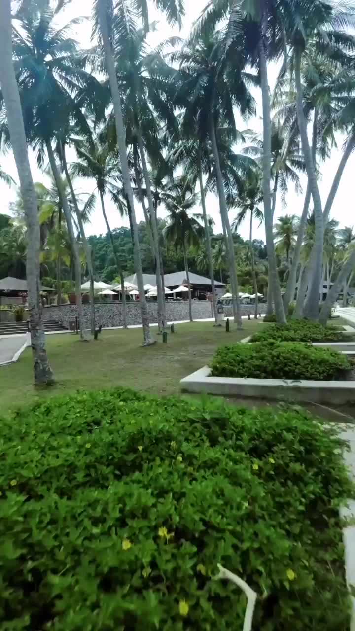 Morning Dips at Pangkor Laut Resort - A Tropical Paradise