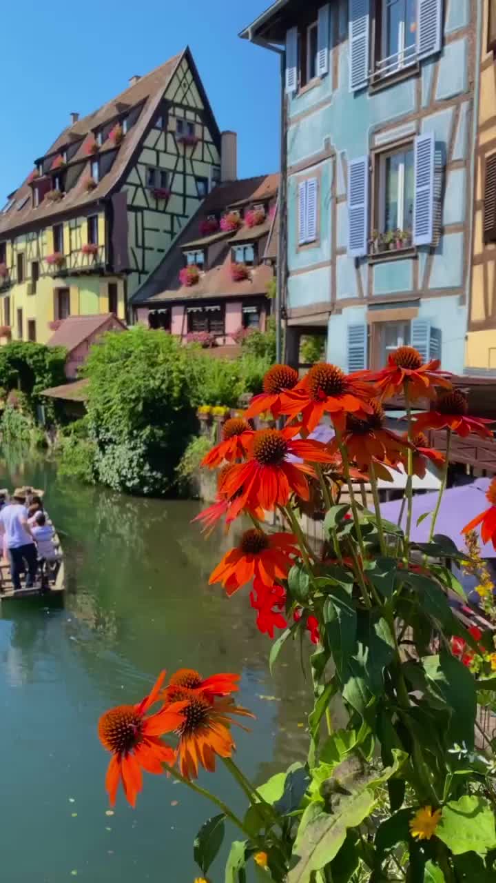 Summer in Colmar: Explore France's Hidden Gem 🌸🌞