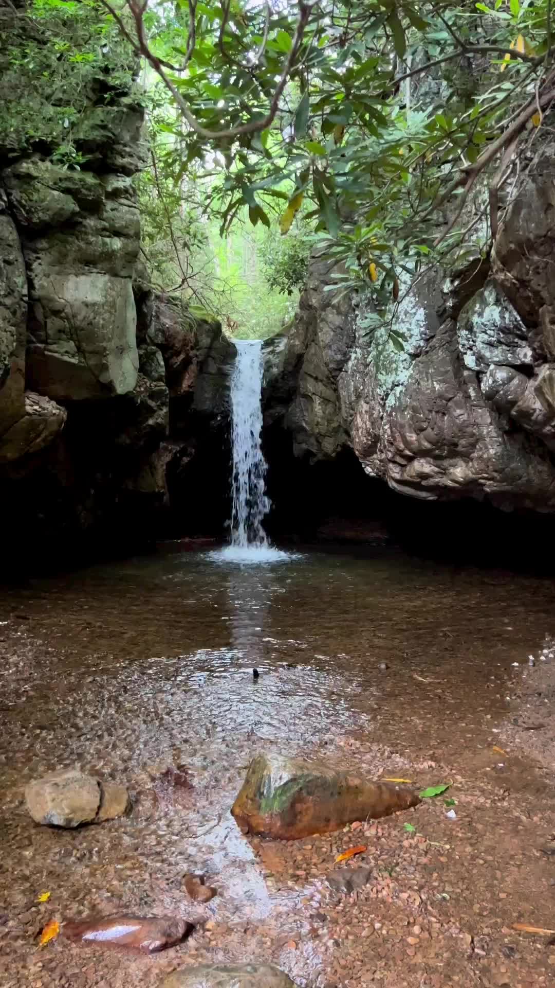 Exploring Blue Hole Falls TN: Family Adventure Day