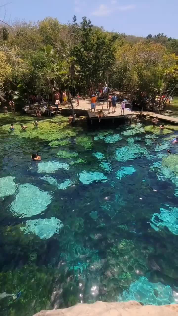 This is your sign to explore Mexico! 🇲🇽😍 

Have you ever heard about cenotes?

Cenotes are natural pits/sinkholes with fresh crystal clear water that resulted from the collapse of limestone bedrock that exposes groundwater.

The ancient Mayans used them as a source of water, but nowadays they are used for swimming and snorcheling.

There is literally thousands of them in Yucatan Peninsula! Some of them are open (like this one), some semi-open and some are caves. The hardest thing is to choose which ones to visit 🙃

Would you go swimming in them too?

Follow us for more travel content!