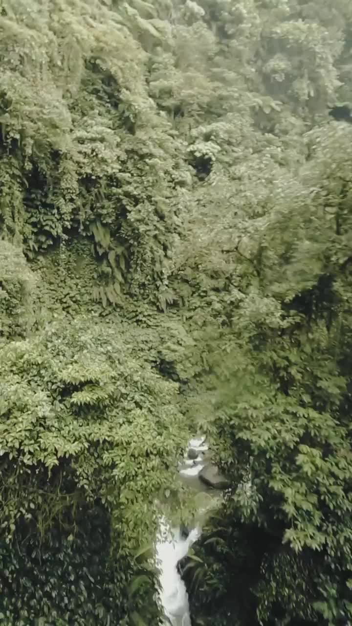 Adventure at Nungnung Waterfall, Bali 🌴