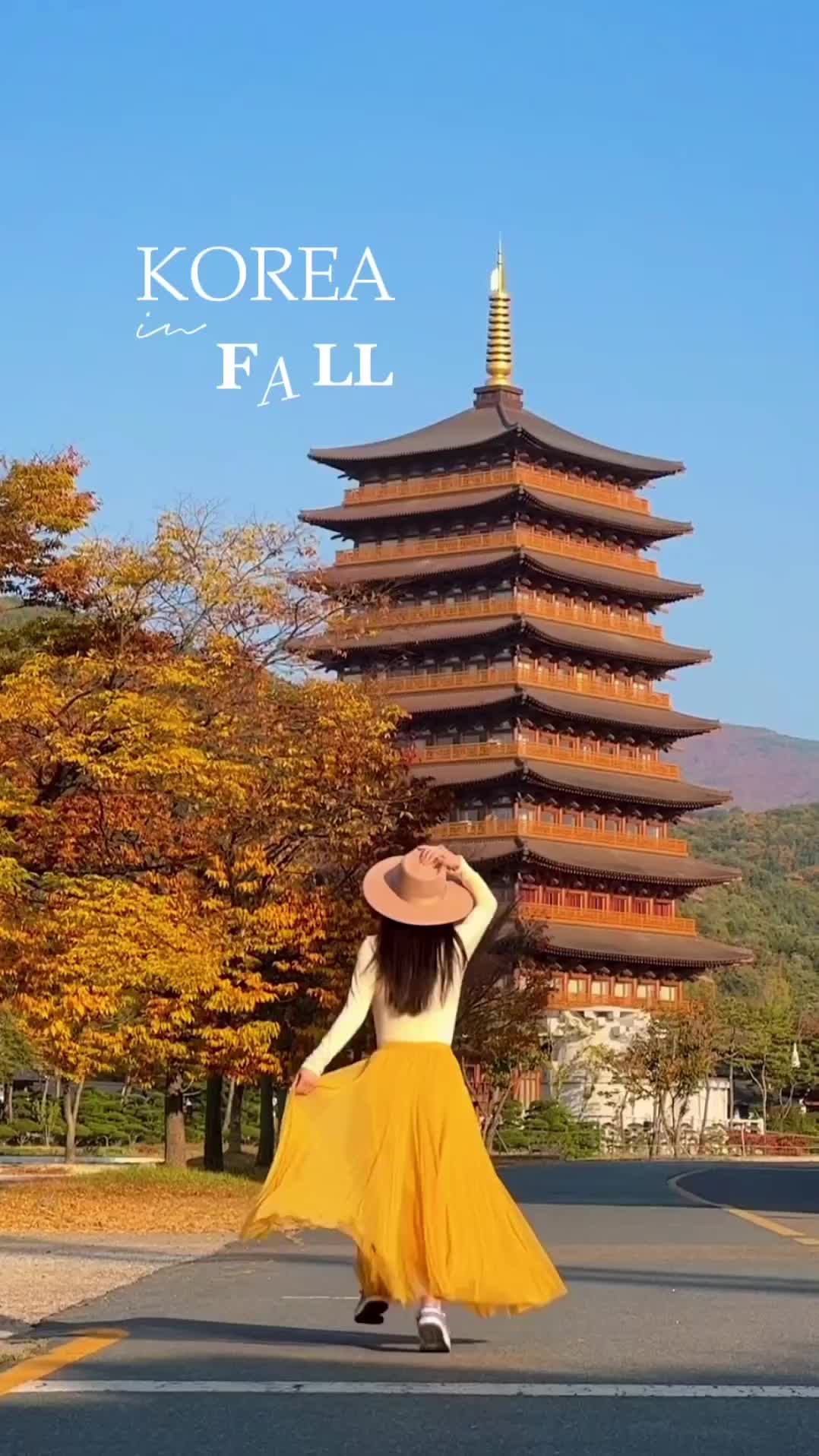 Best Places for Fall Foliage in Korea