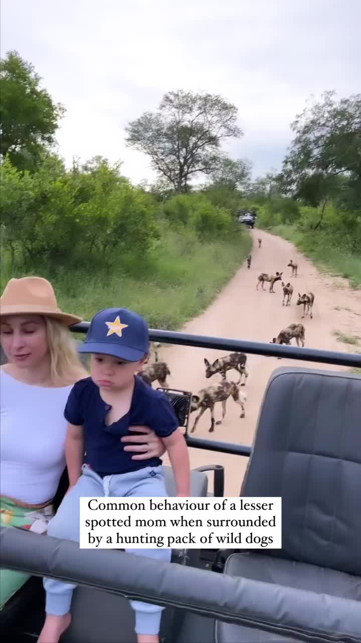 Paranoid Mom During Wild Dog Hunt at Lion Sands