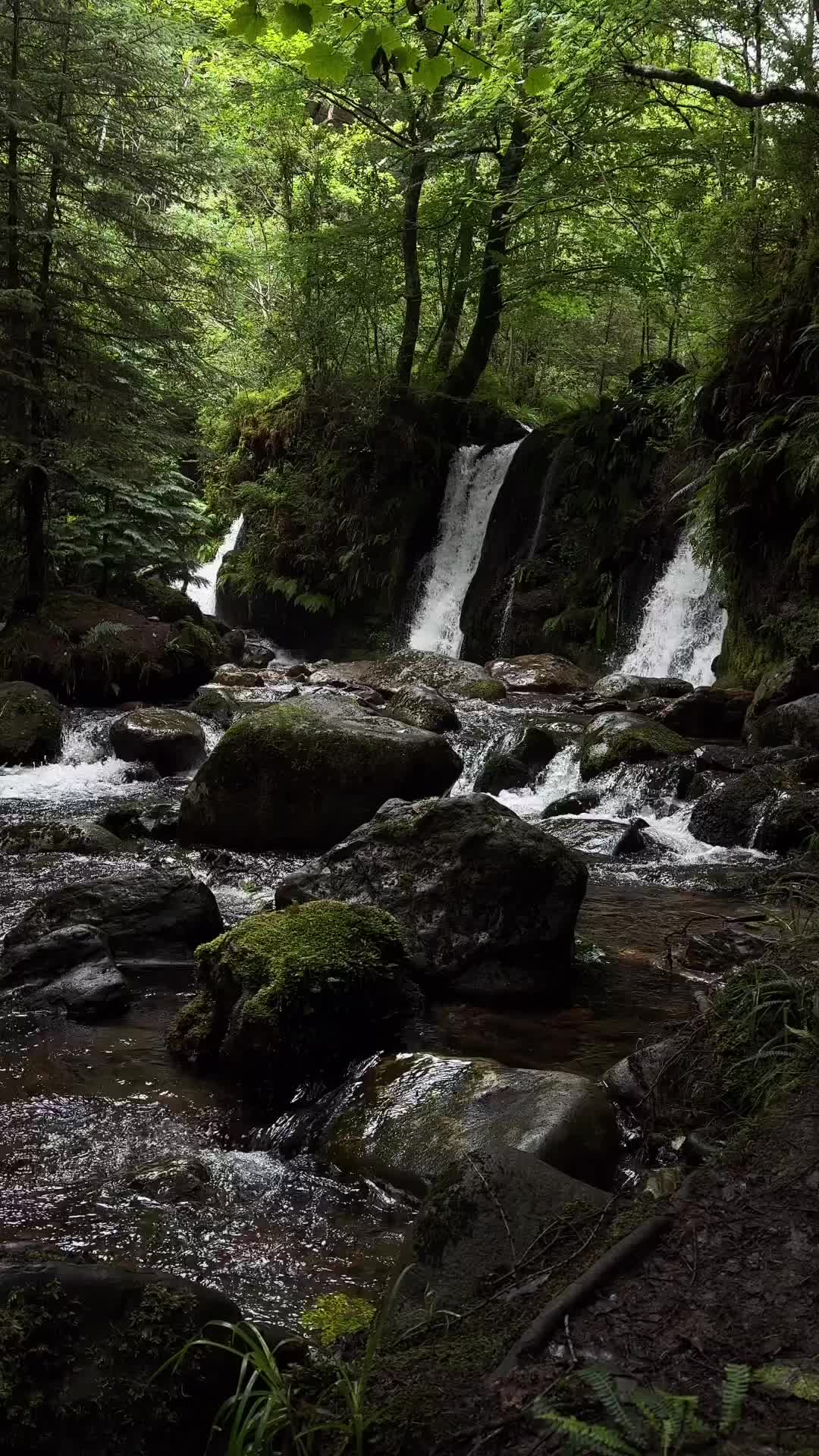 Discover the Hidden Gem: Coolalingo Waterfall 💦