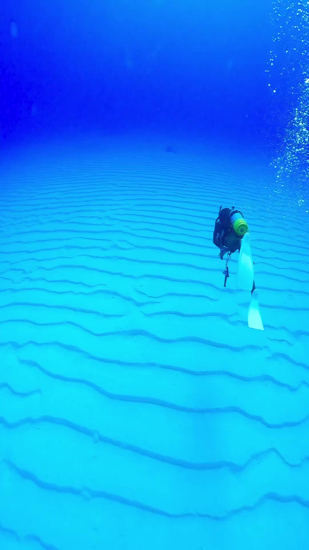 Crystal Clear Diving in Tarama Island, Okinawa