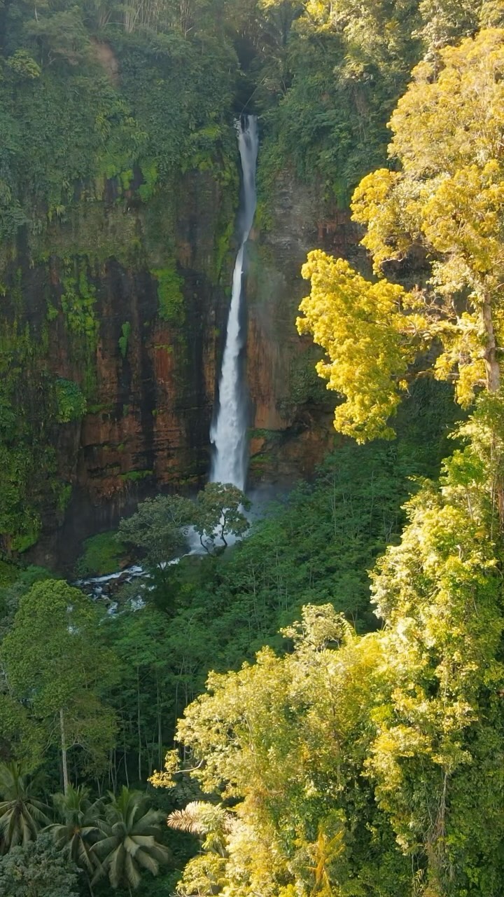 Pronojiwo, Indonesia