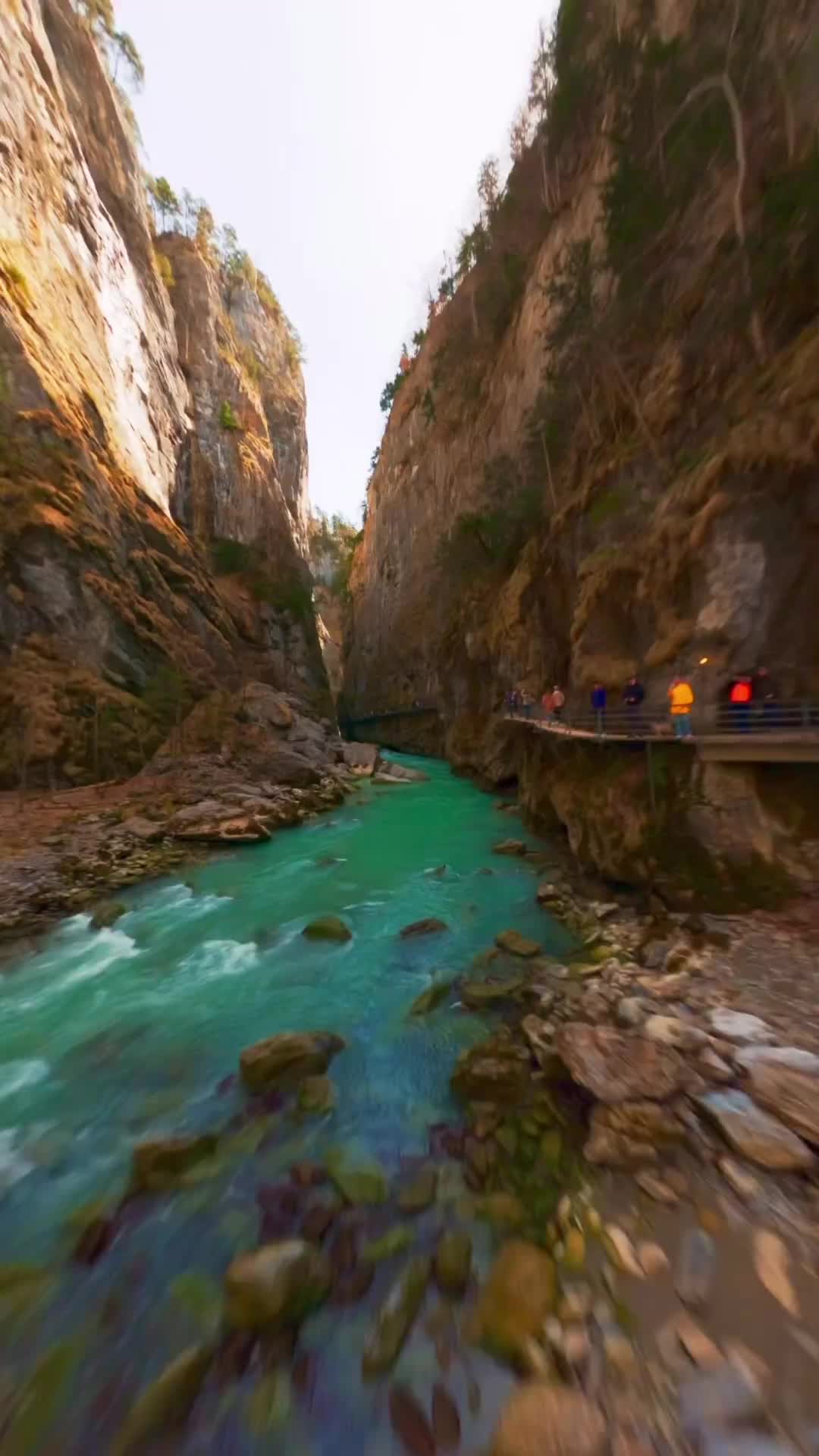 Discover the Majestic Aareschlucht Gorge in Switzerland