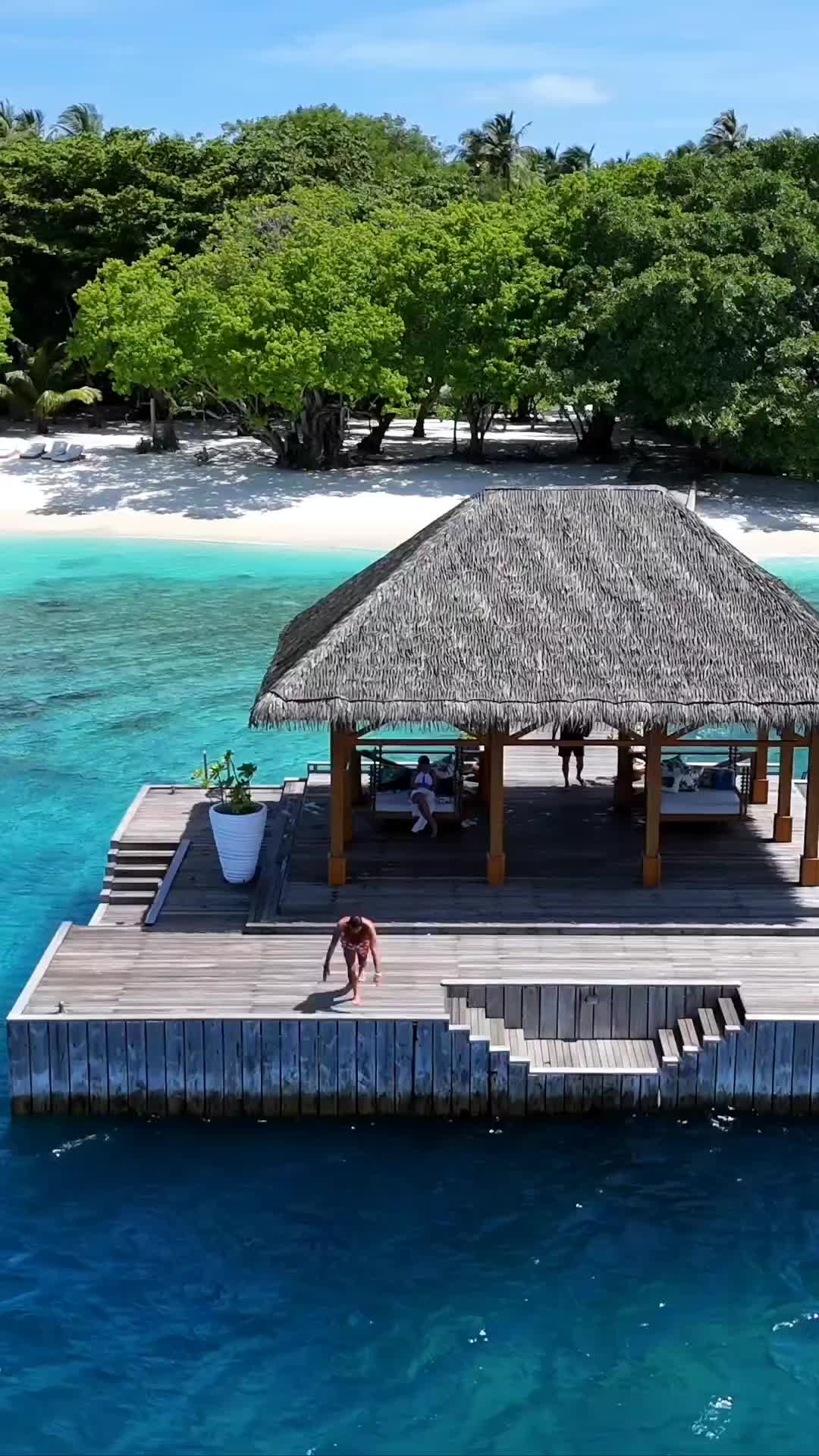 Discover Luxury at Amilla Fushi Maldives Resort 🌴✨
