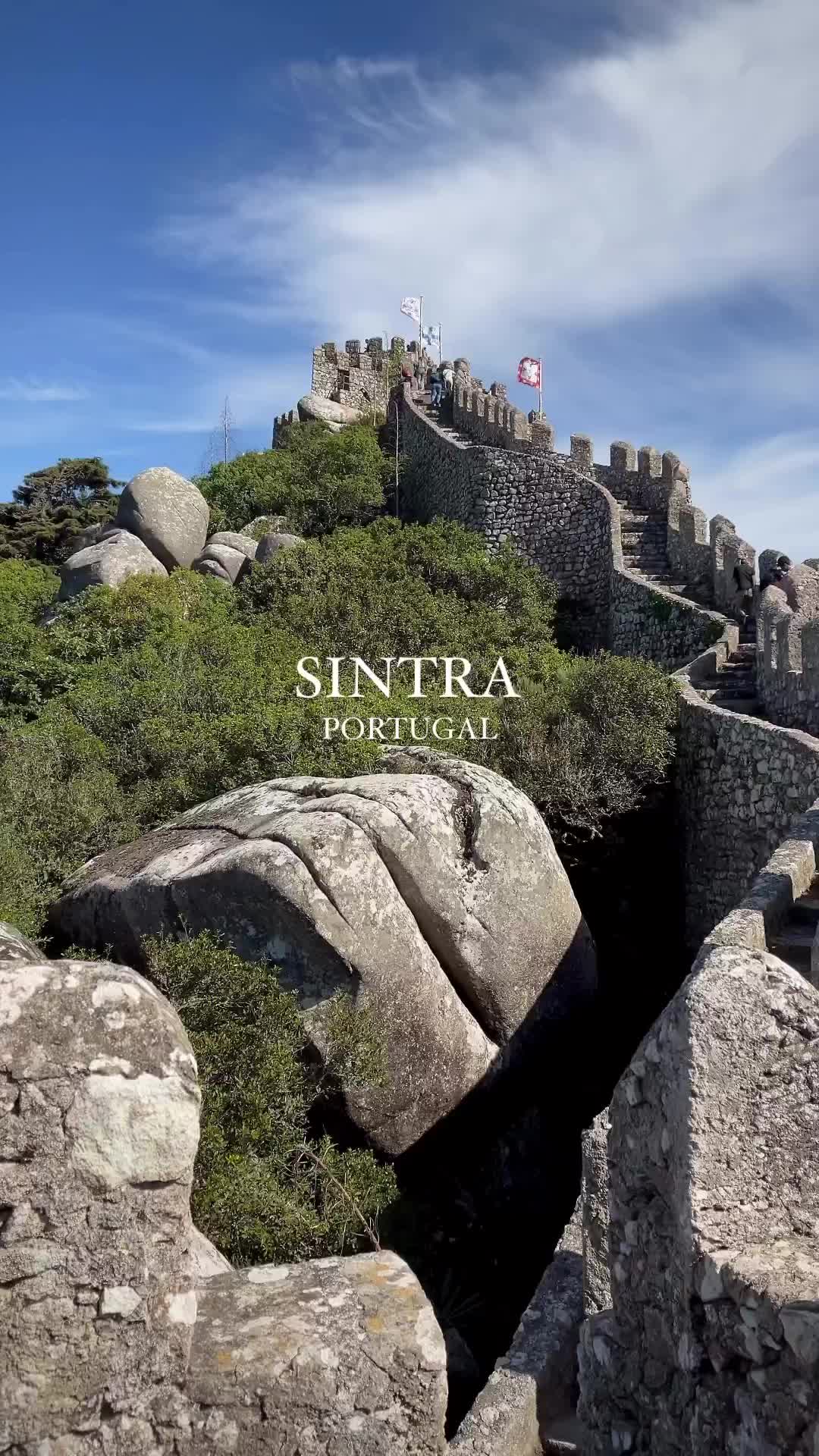 The Moorish Castle with views is the Peña National Palace in Sintra ✨ Portugal 🤍

#sintra #portugal #visitportugal #map_of_europe #beautifuldestinations #wonderful_places #travellingthroughtheworld