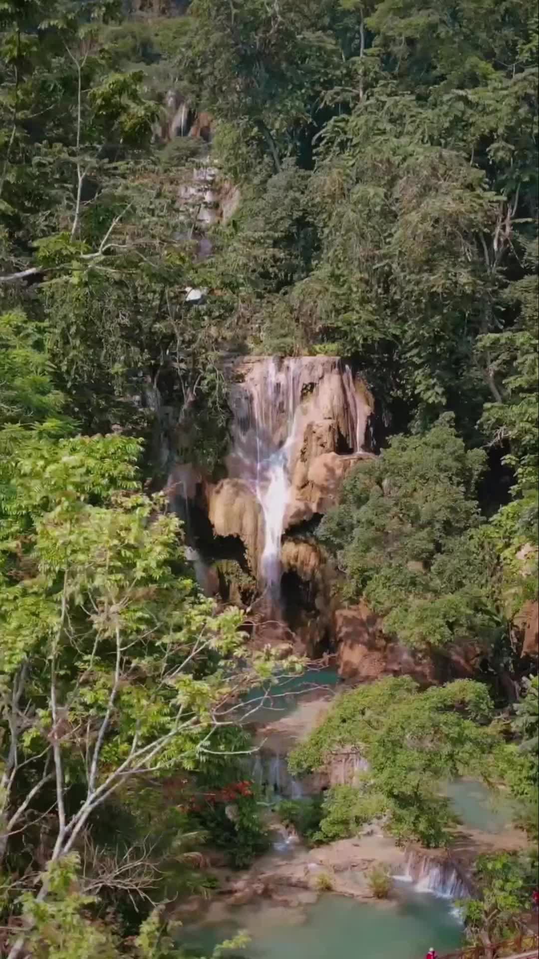 Surrounded By Nature at Kuang Si Falls, Laos