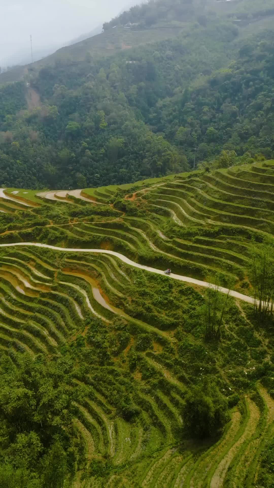 Driving through one of the most beautiful rice fields in the world 🤩 Even during the dry season when many rice fields are not as colorful as they could be it was still remarkable experience! Another check mark on our bucket list ❤️

📍Sapa, Lao Cai, Vietnam 🇻🇳 

#vietnam #travel #earth #earthfocus #earthofficial #earthoutdoors #earthcapture #earthpix #discoverearth #discoverglobe #awesome_earthpix #explore #exploremore #drone #droneofficial #dji #djiglobal #folk #folkscenery #folkgreen #ricefield #earthporn #couple #welivetravel #welivetoexplore #travelblogger #travelgram #wanderlust #couplegoals