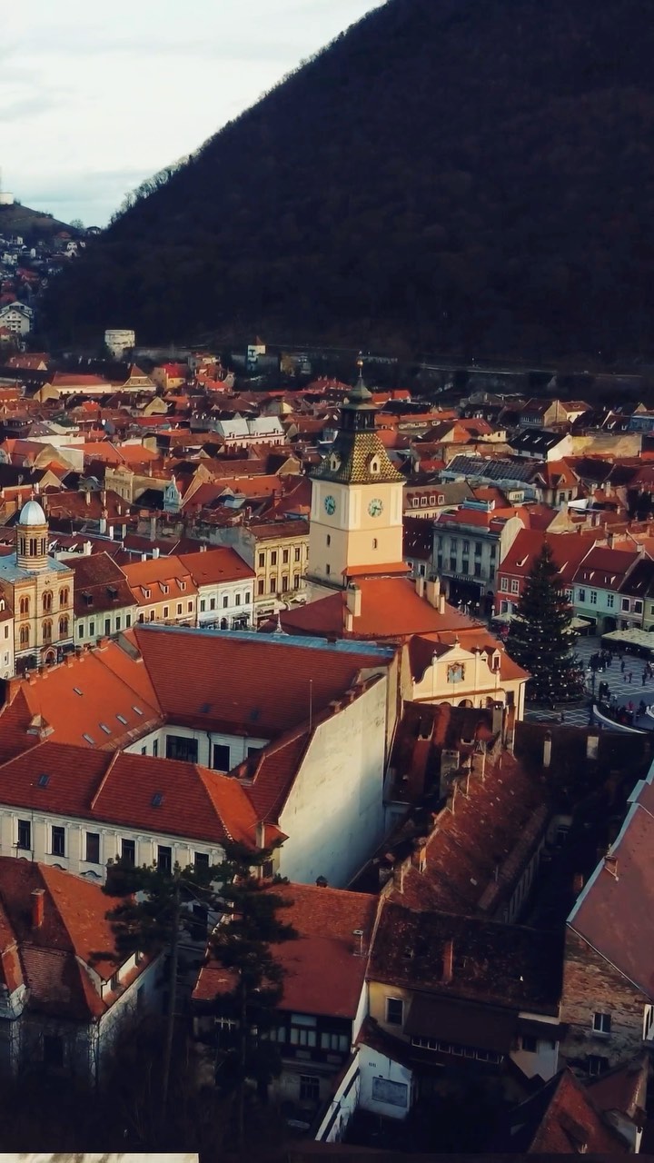Ultimate 3-Day Adventure in Brasov: Bears, Castles, and Local Cuisine